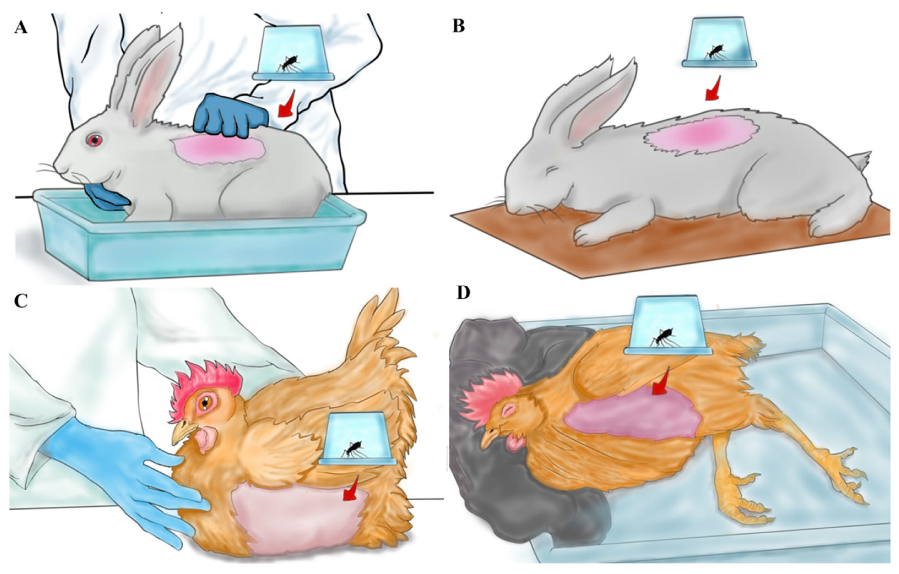 Insects 16 00281 g002