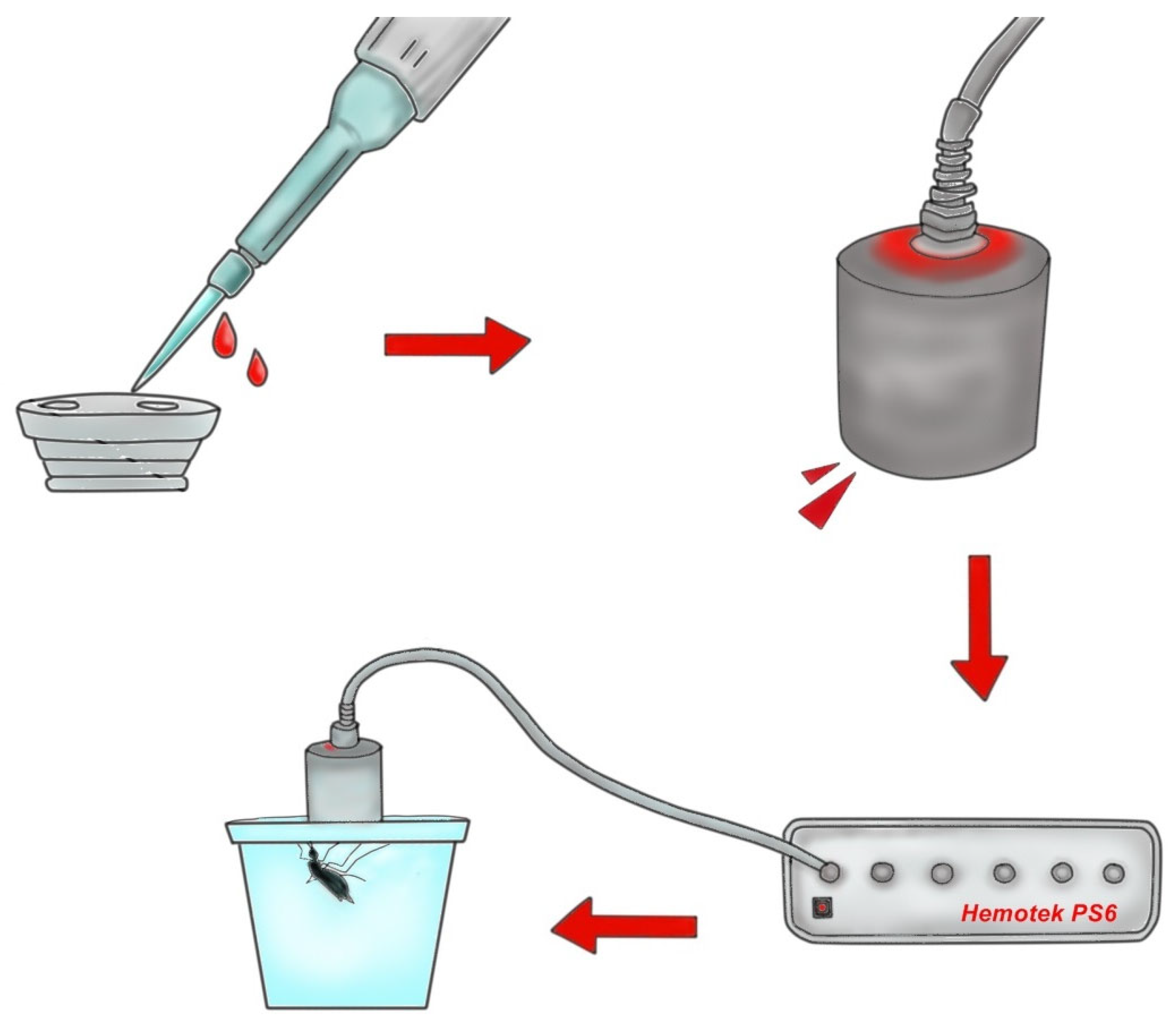 Insects 16 00281 g003