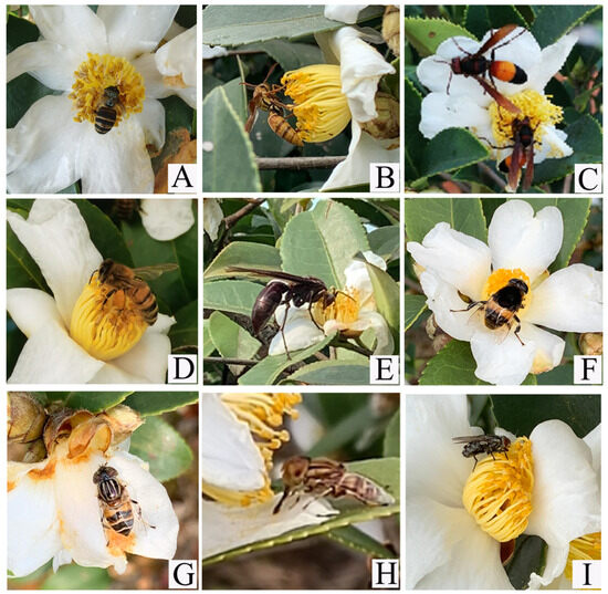 propertyty RealtyNXT | The Yamuna Expressway Industrial Development Authority