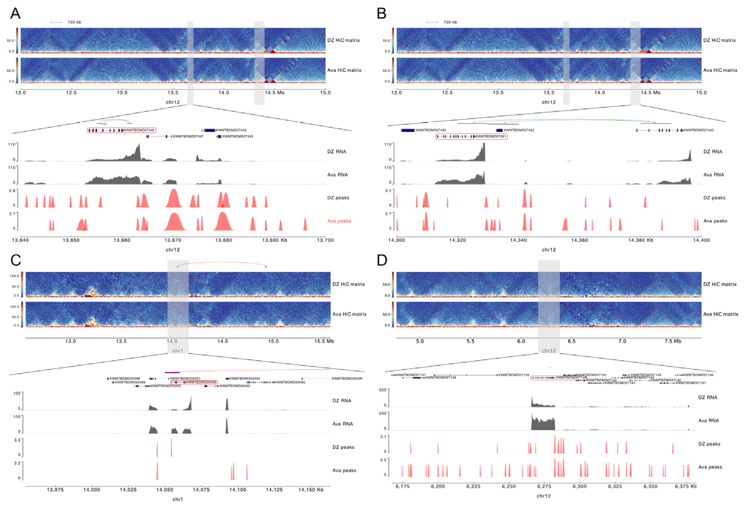 Insects 16 00298 g004