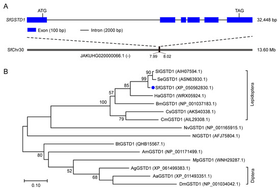 GSTD1 Mediates the Tolerance to Abamectin and Beta-Cypermethrin in