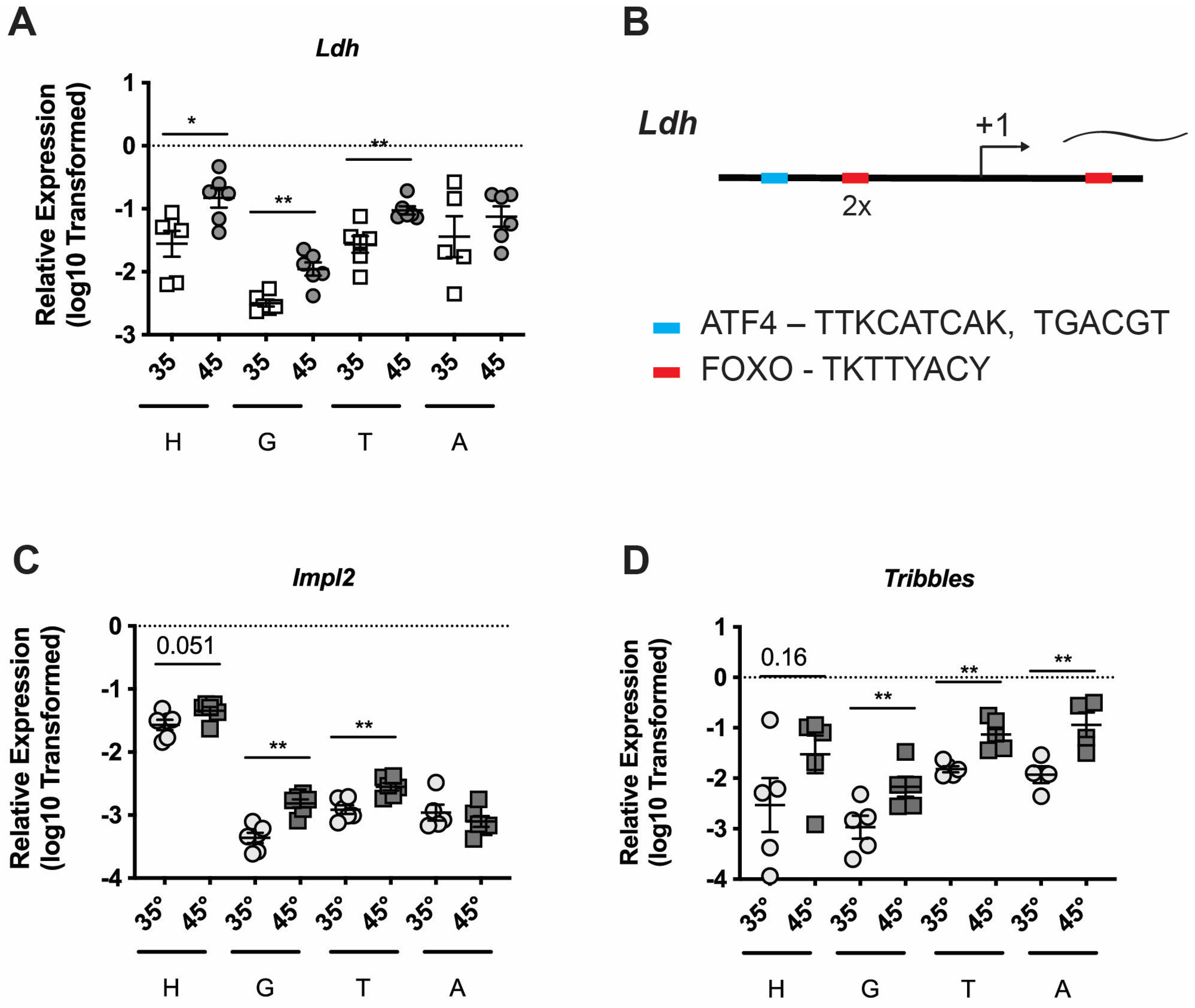 Insects 16 00300 g003