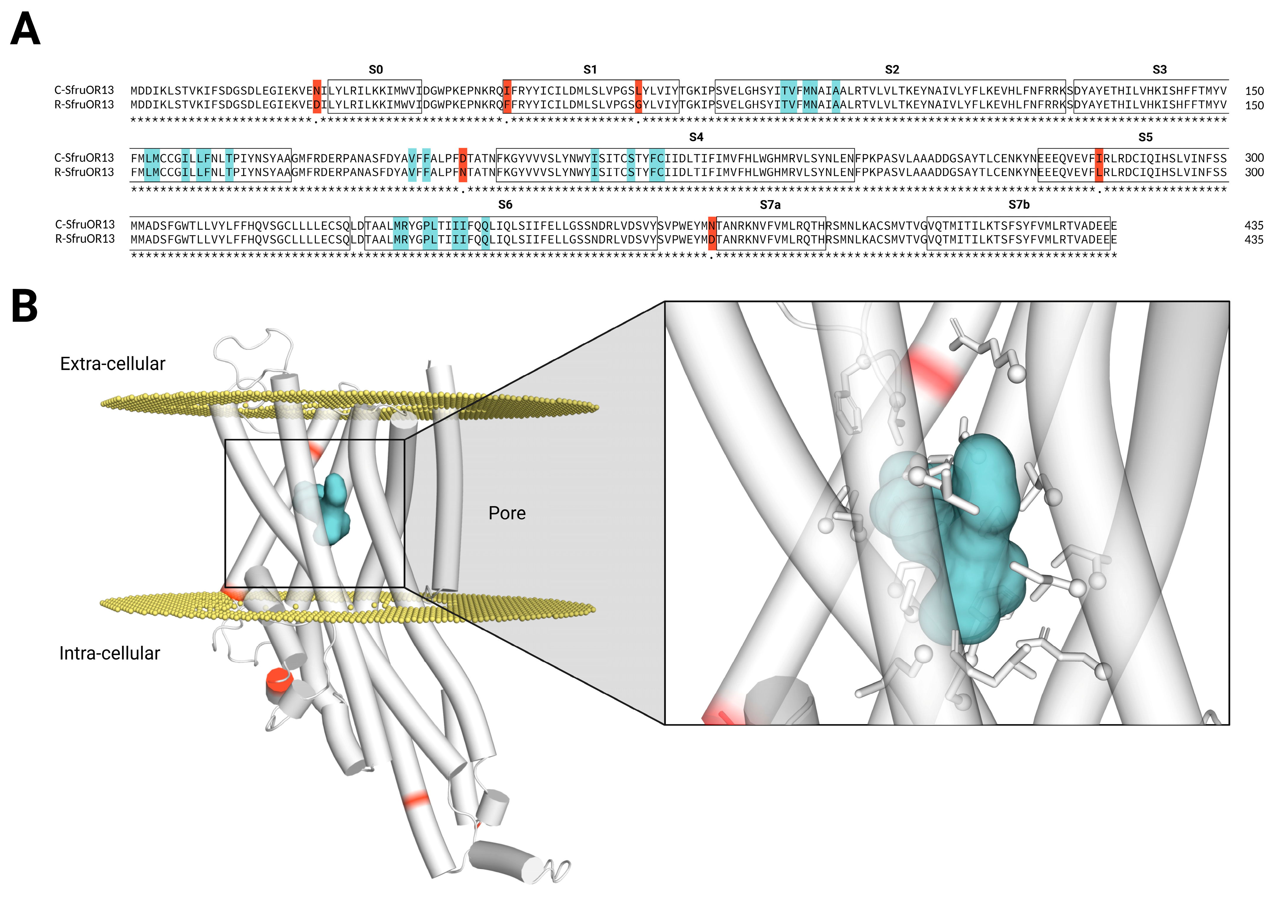 Insects 16 00304 g001