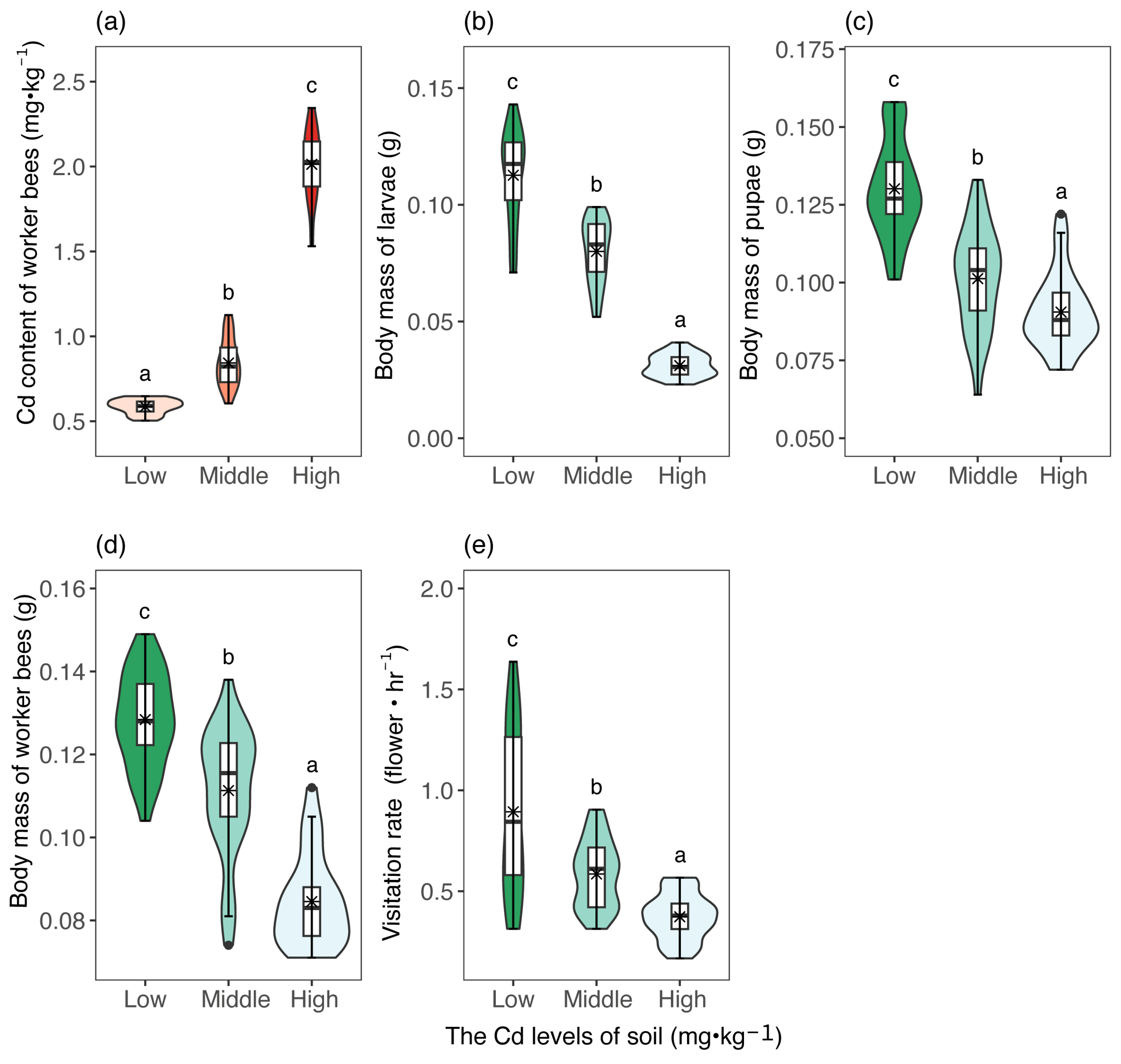 Insects 16 00306 g001
