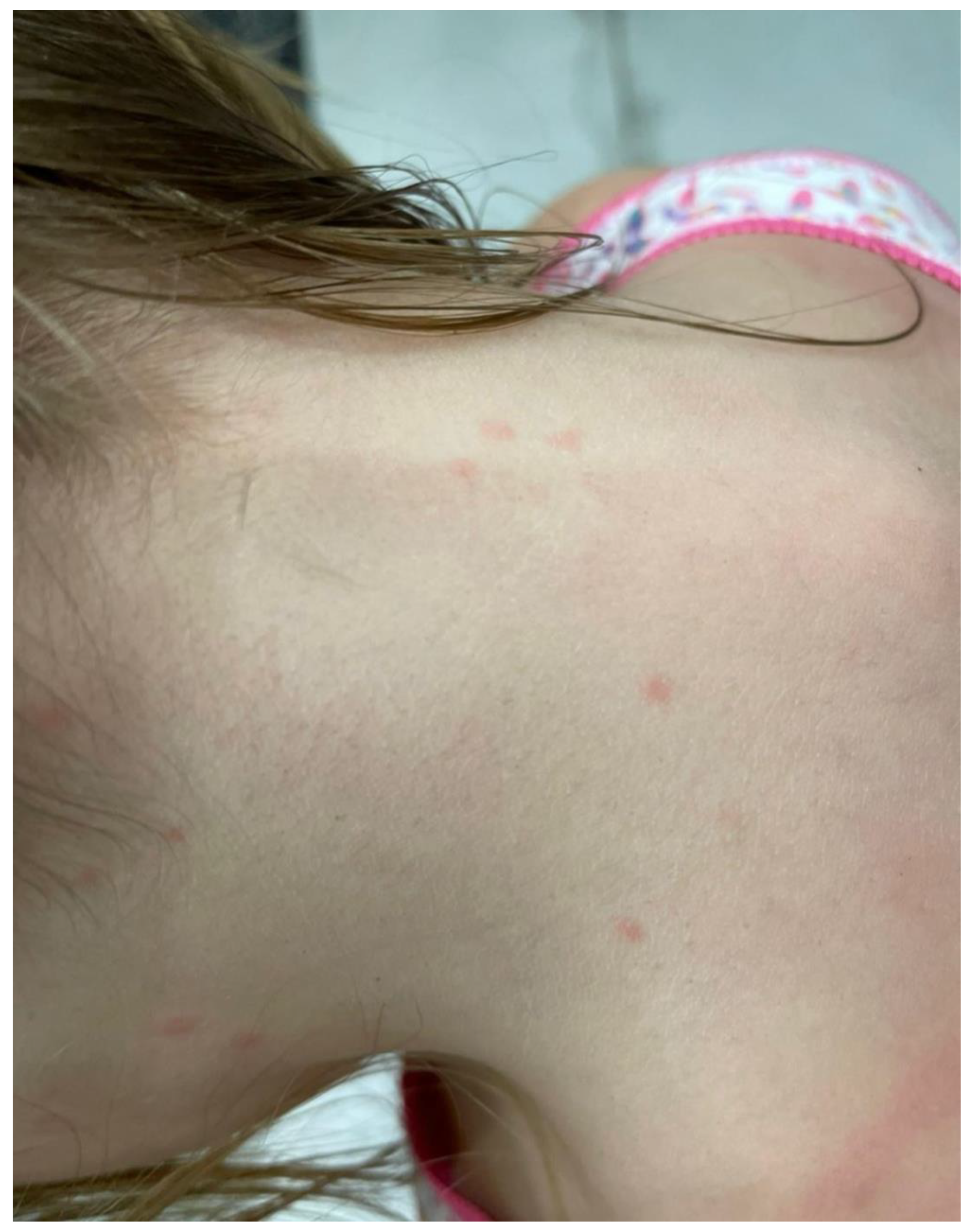 Insects 16 00308 g001 Insects 16 00308 g001