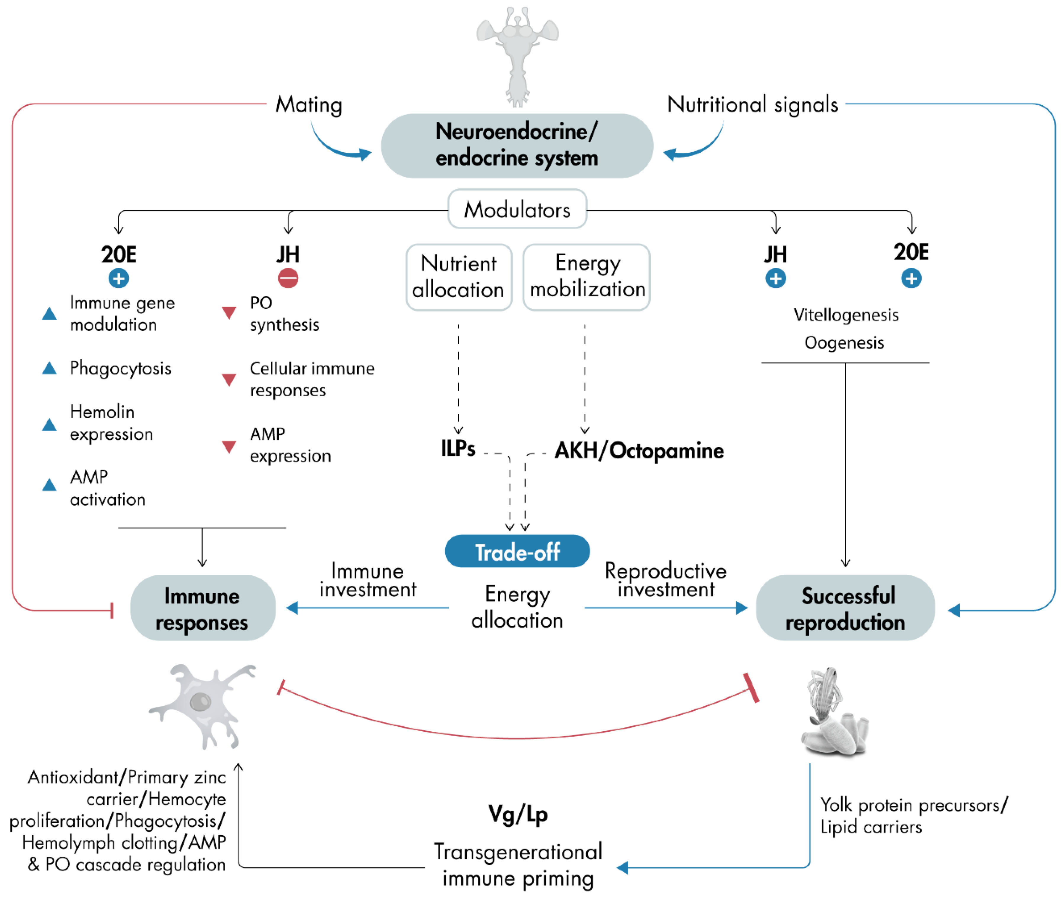 Insects 16 00311 g002 Insects 16 00311 g002
