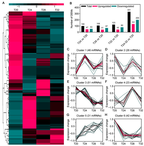 Integrated mRNA and miRNA Omics Analyses Reveal Transcriptional