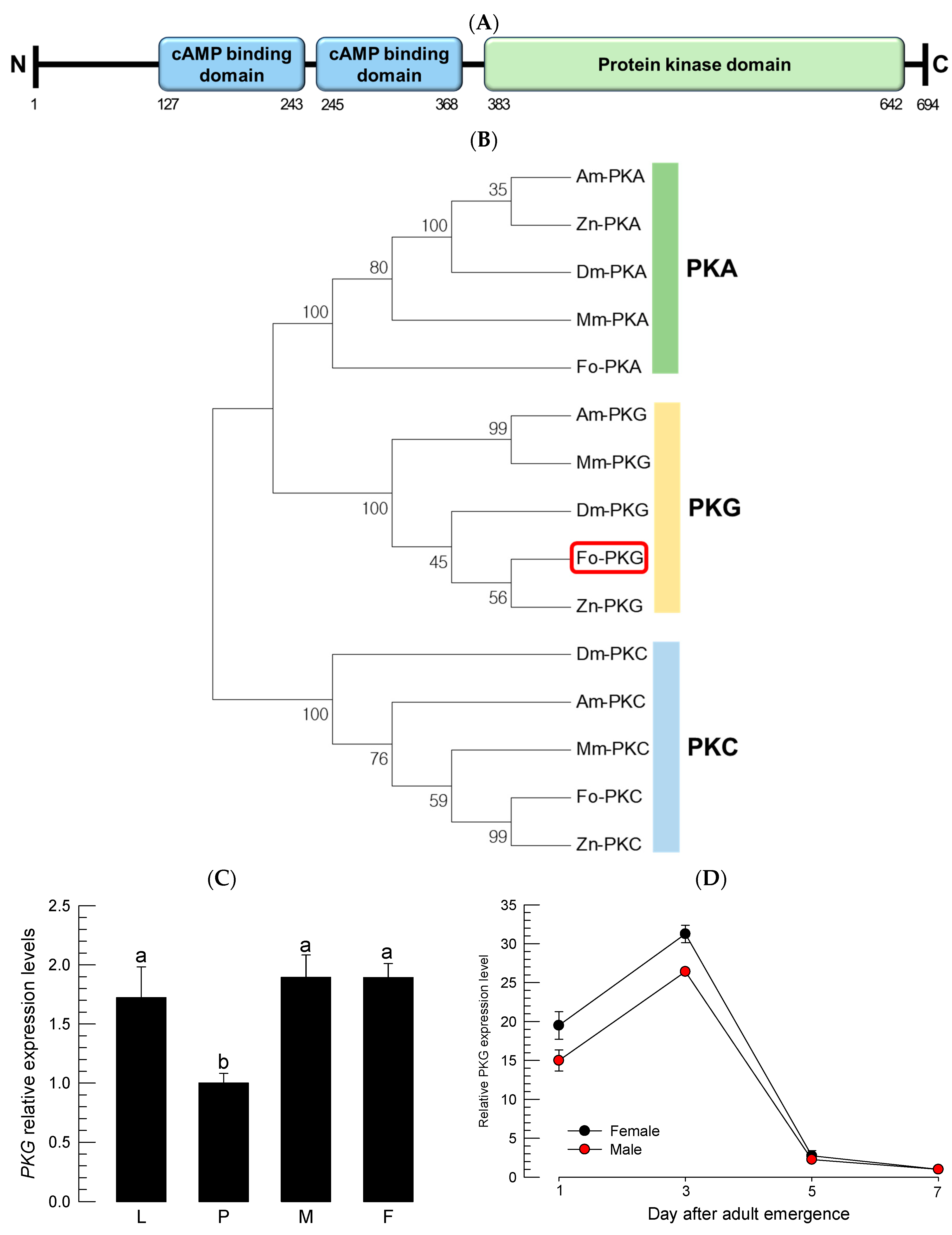Insects 16 00320 g001