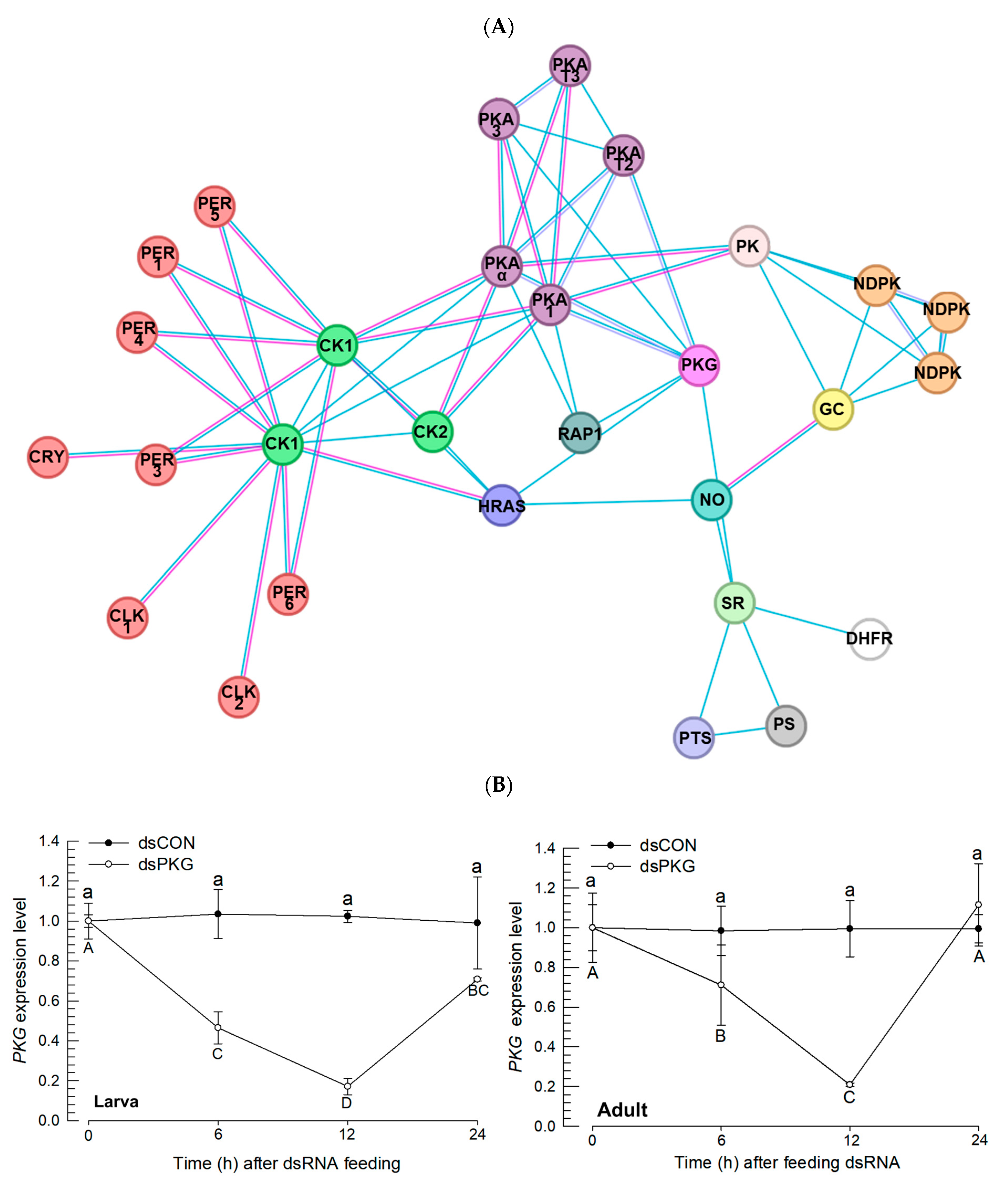 Insects 16 00320 g003a