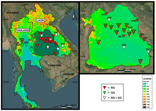 Exploring the Genetic Diversity of the Jewel Beetles