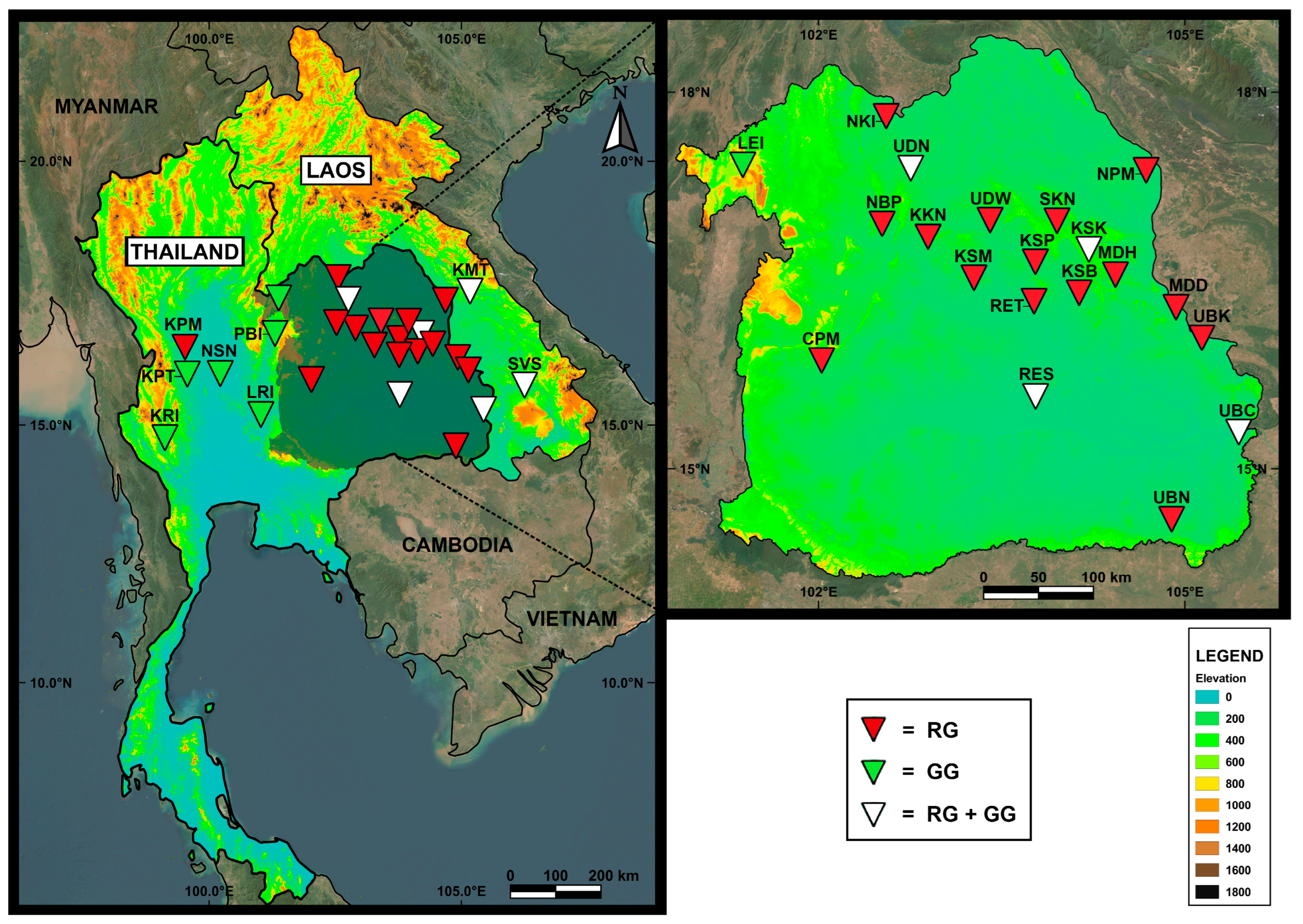 Insects 16 00322 g001