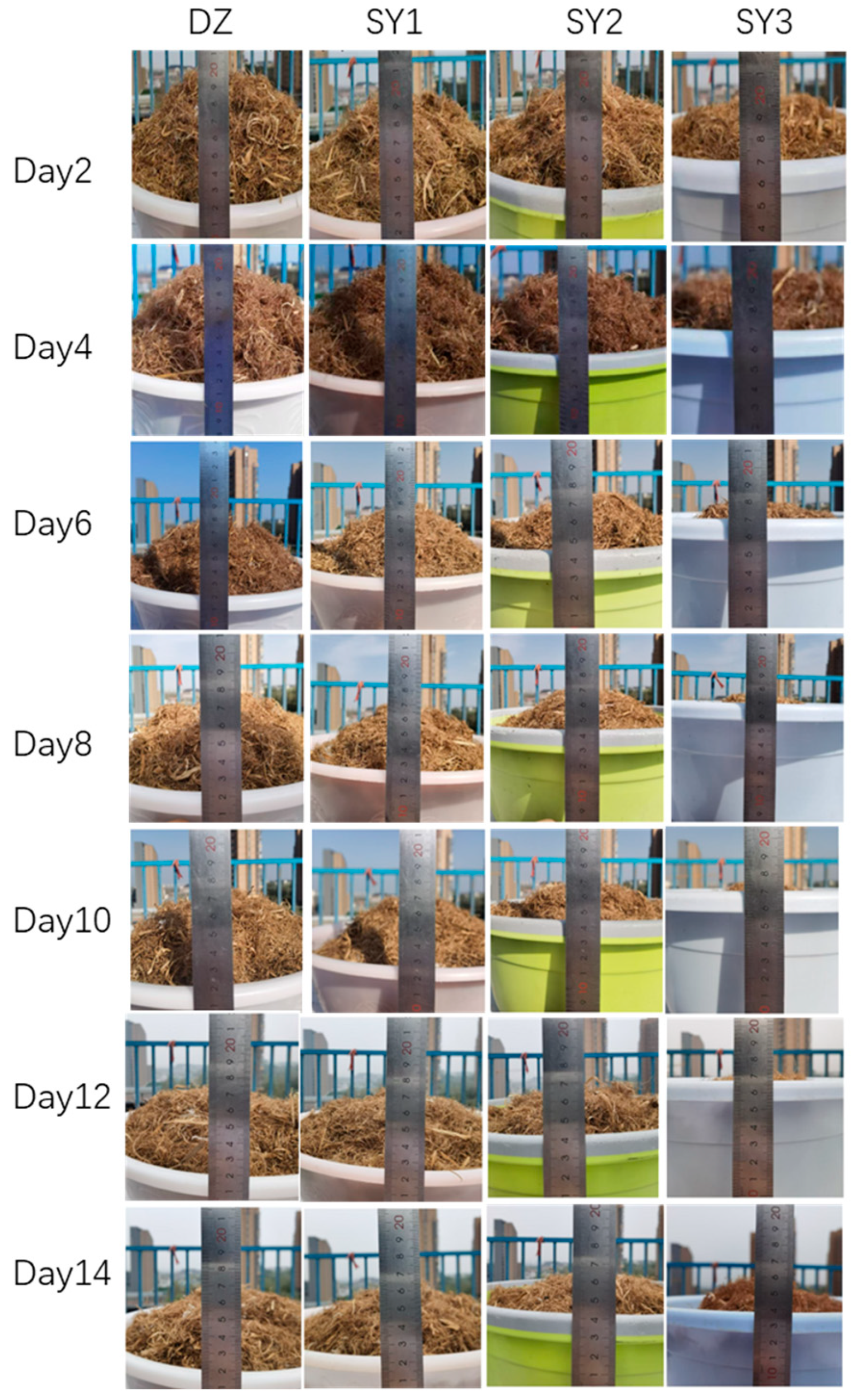 Insects 16 00333 g006