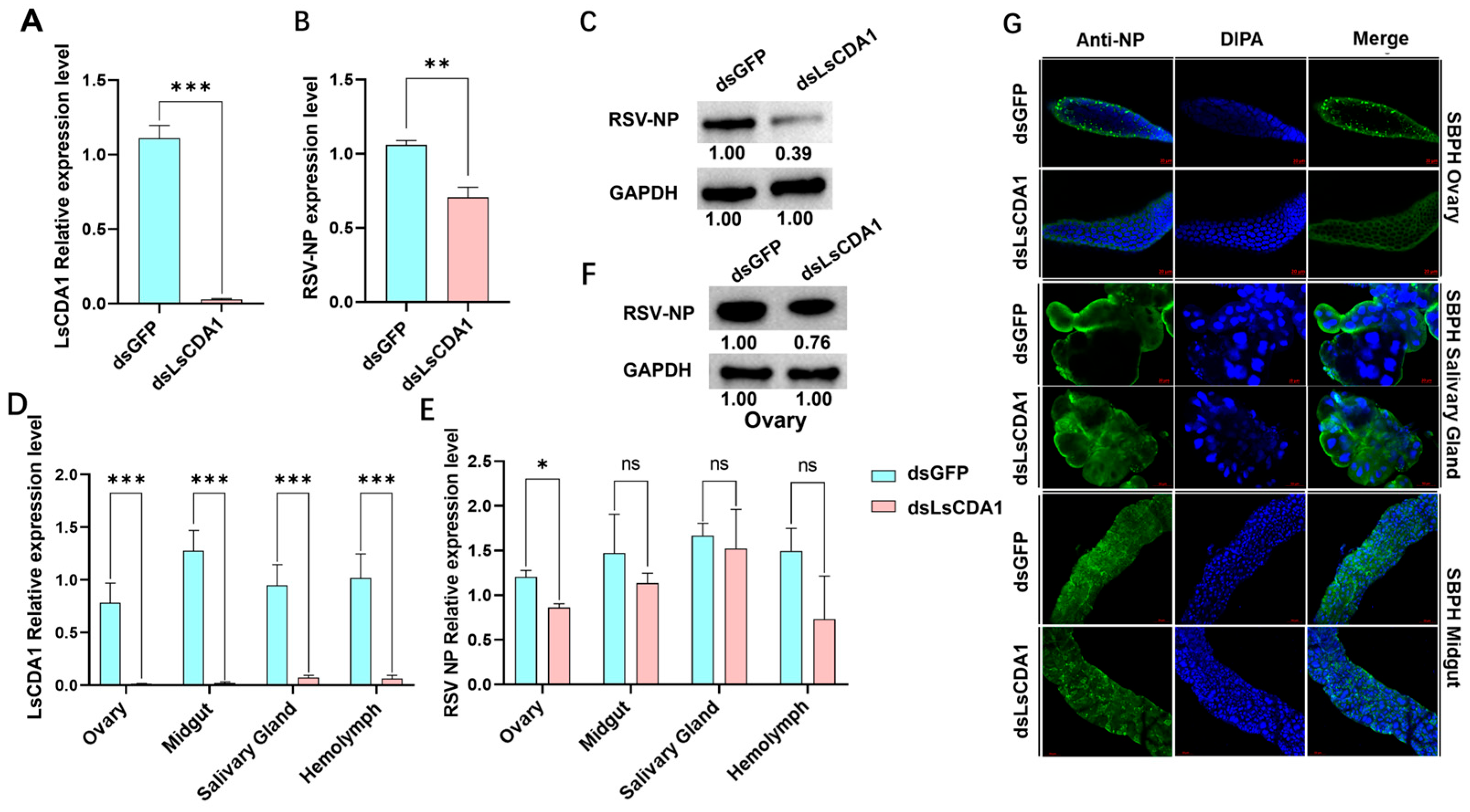 Insects 16 00334 g004