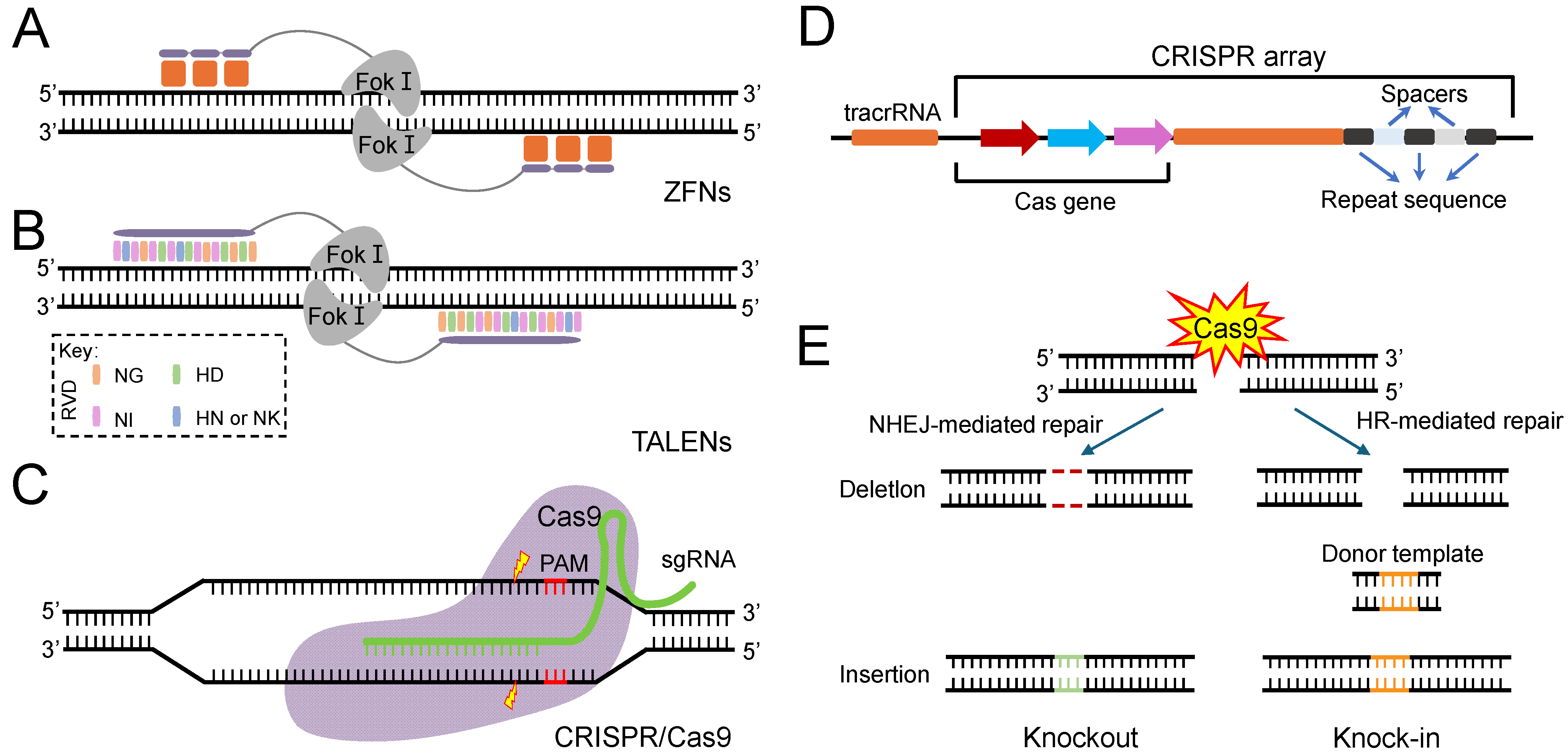 Insects 16 00345 g001
