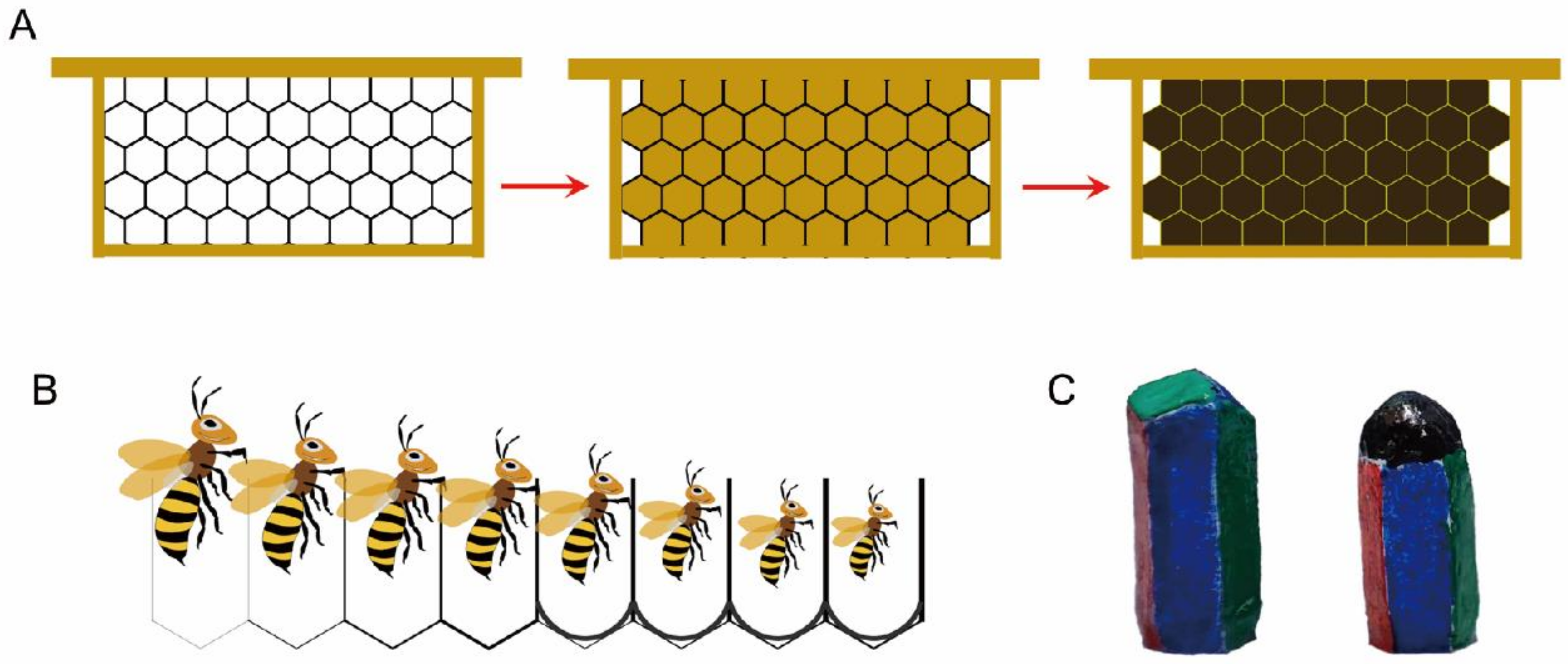 Insects 16 00351 g001