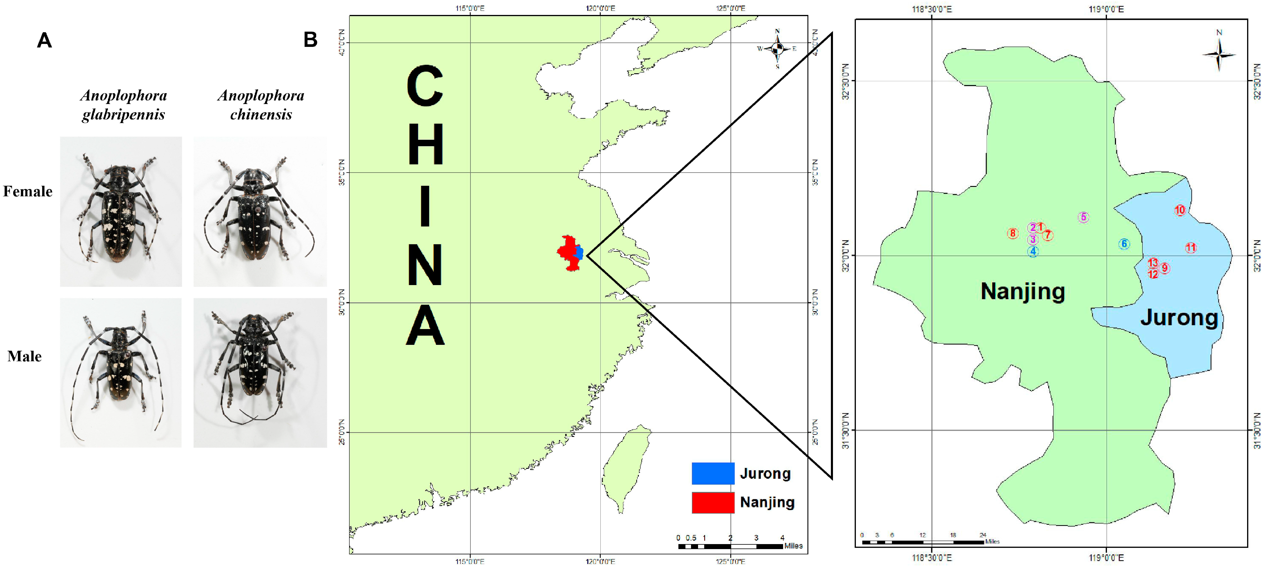 Insects 16 00352 g001