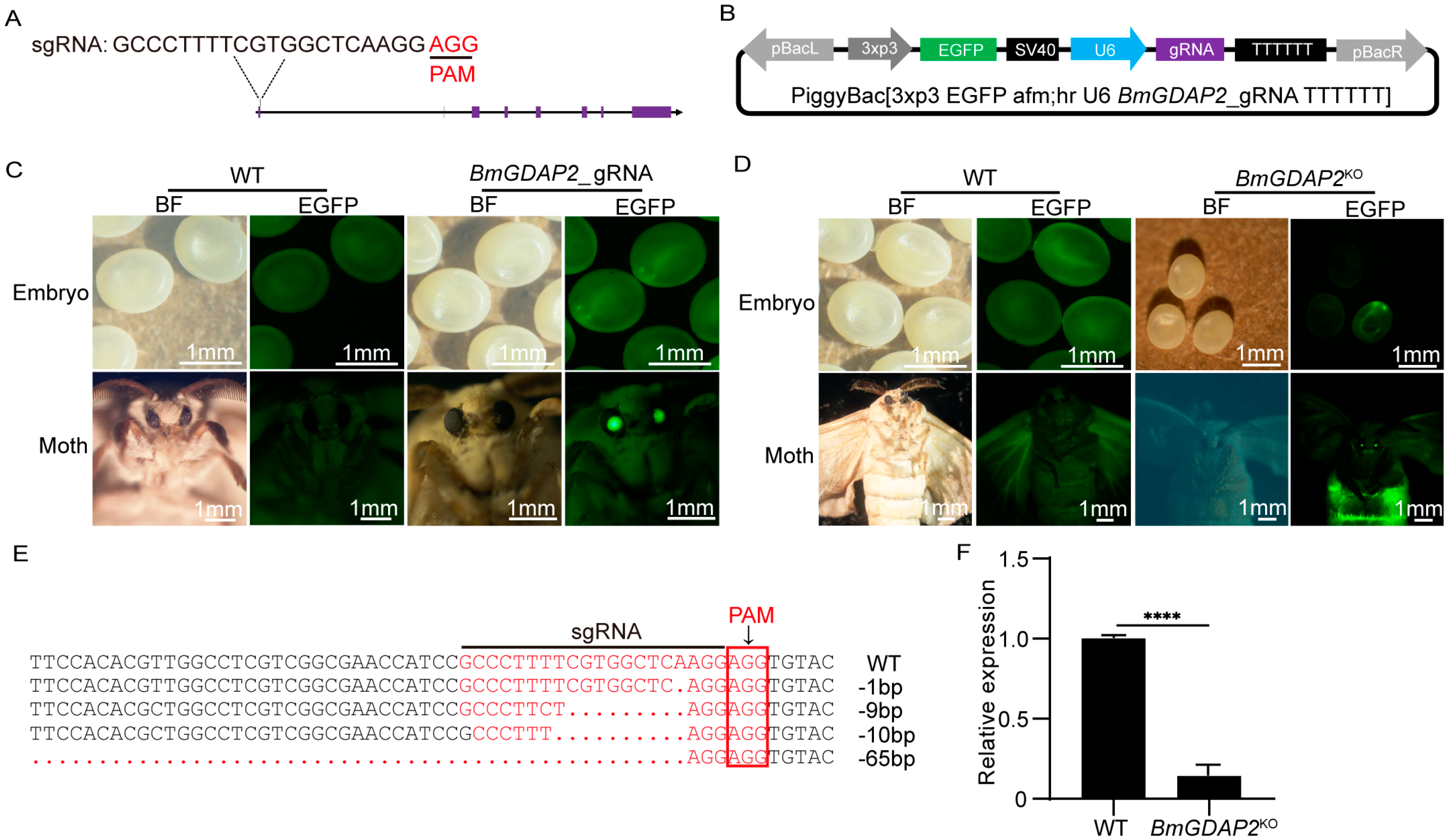 Insects 16 00354 g002
