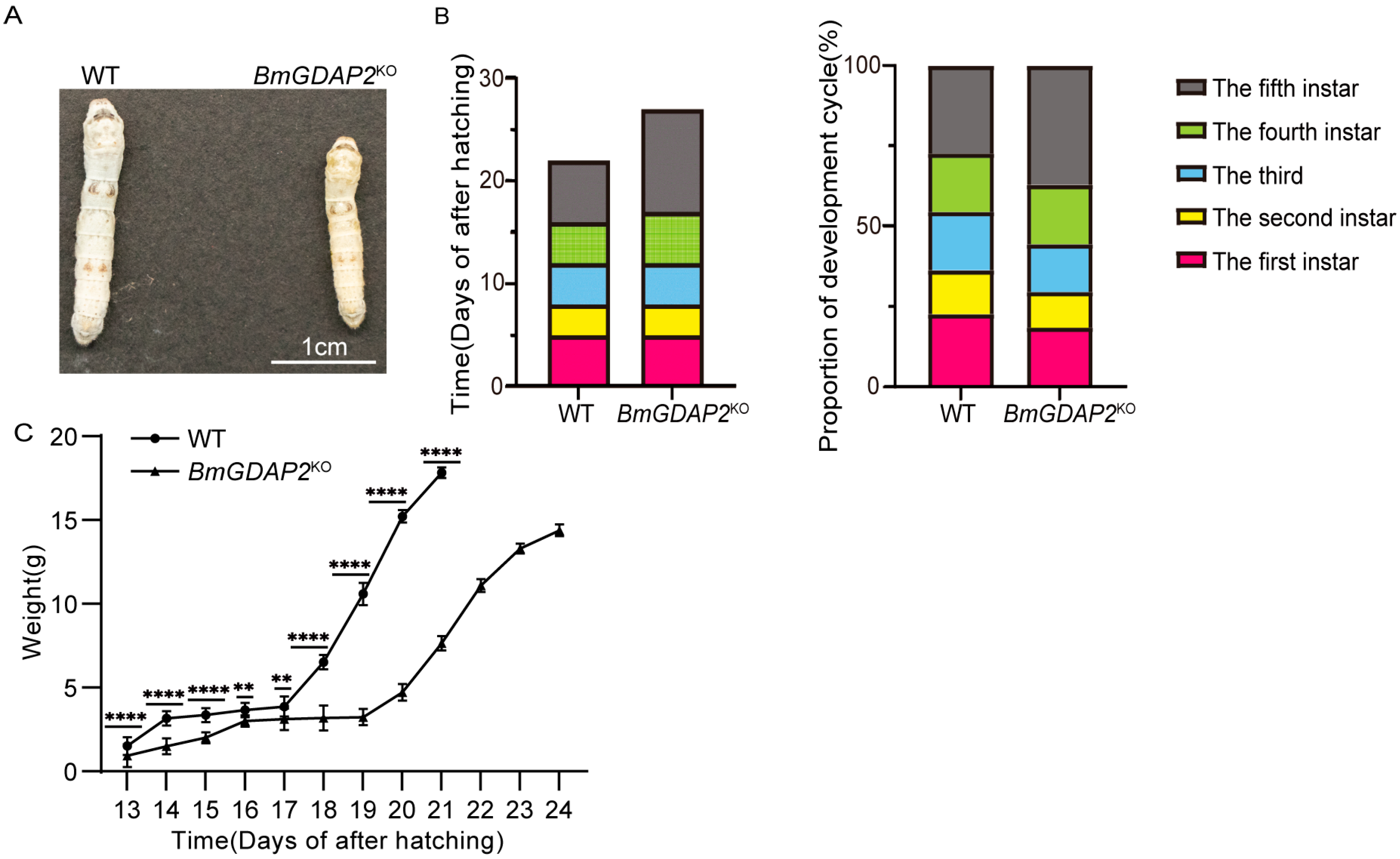 Insects 16 00354 g003