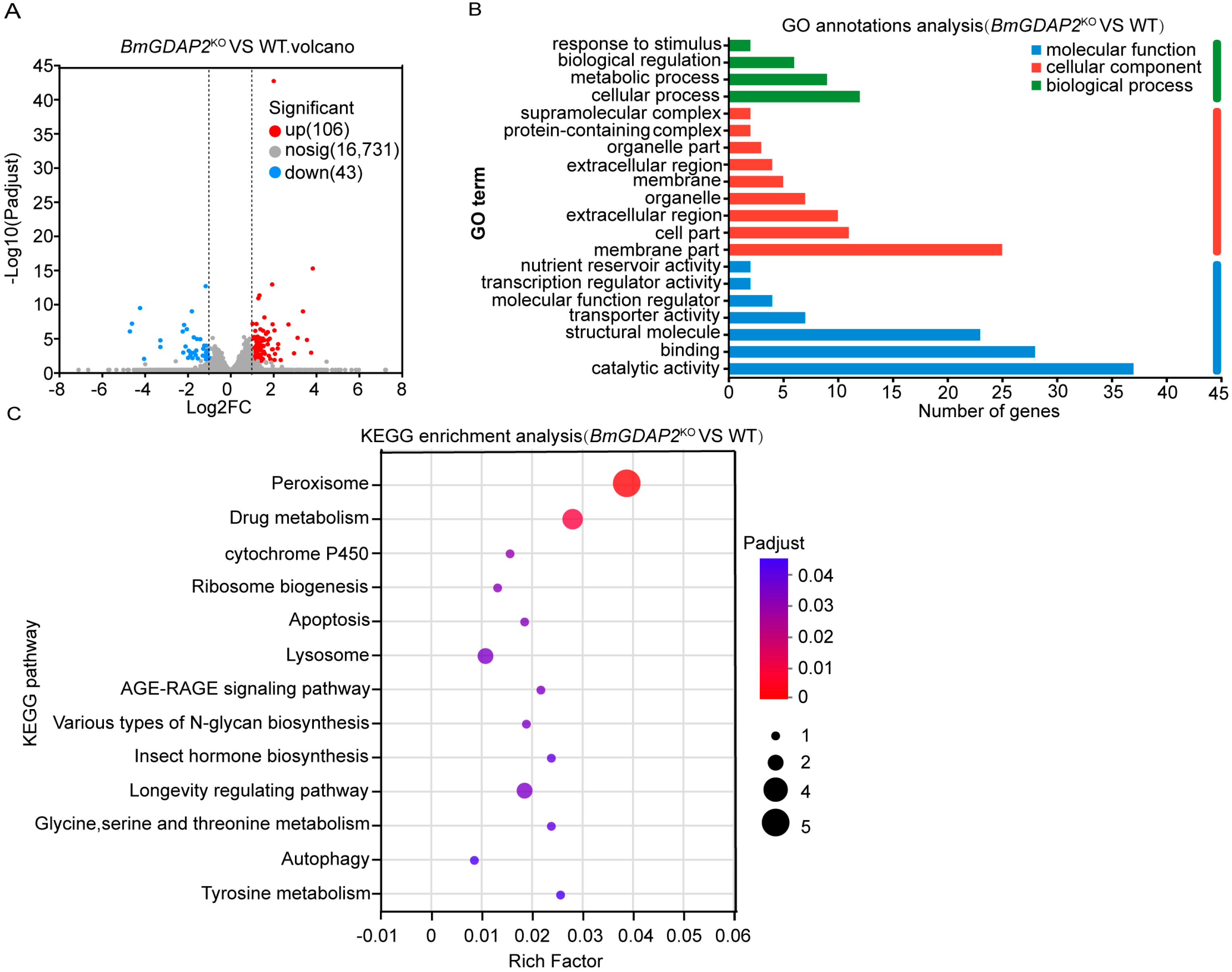 Insects 16 00354 g004