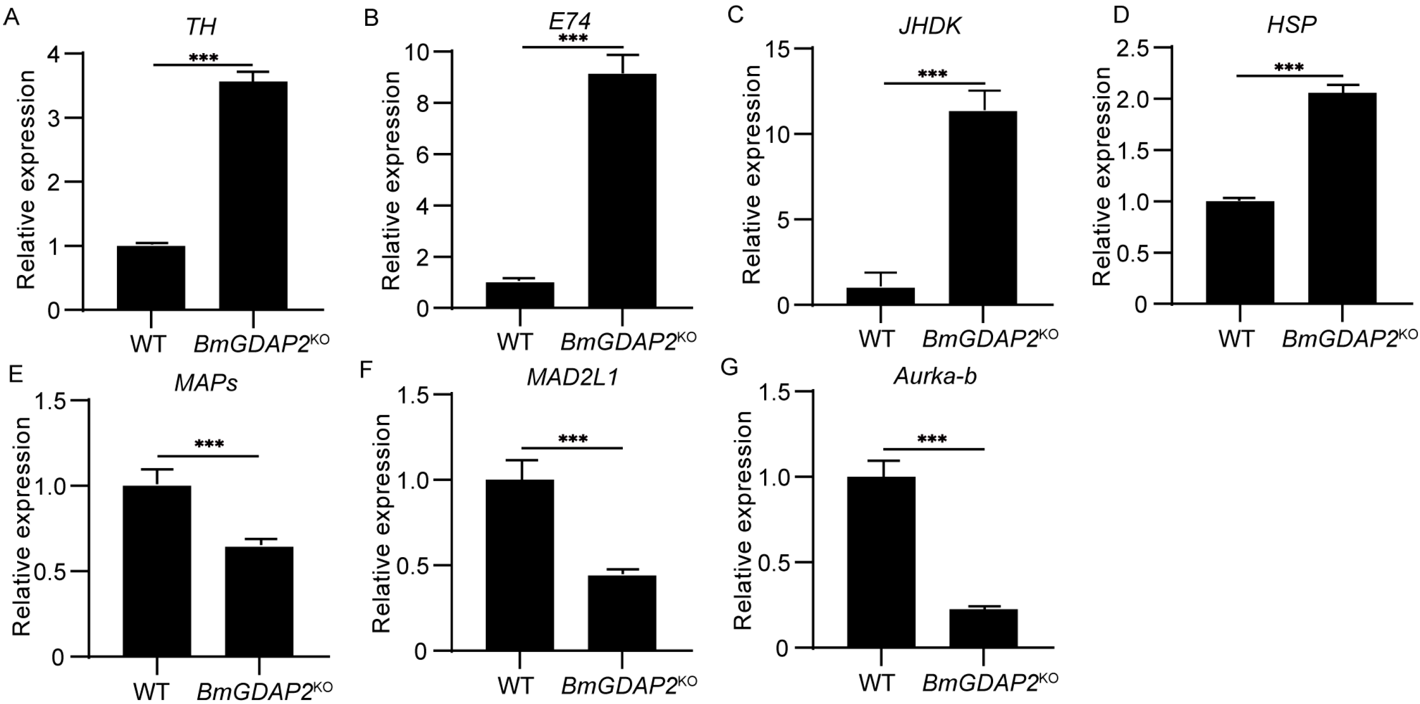 Insects 16 00354 g005