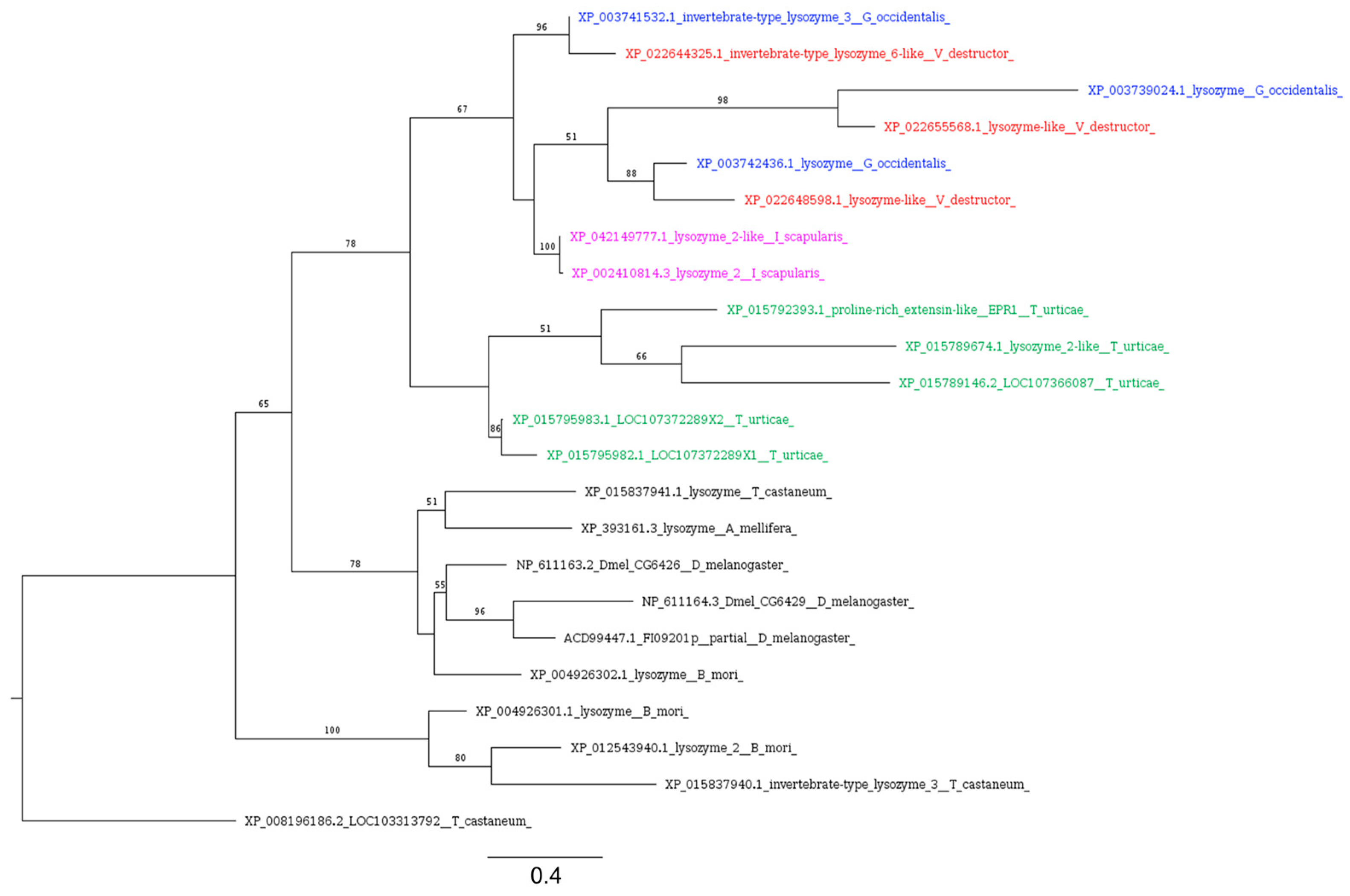Insects 16 00356 g008 Insects 16 00356 g008