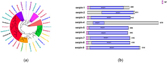 Immunotranscriptomic Profiling of Spodoptera frugiperda Challenged