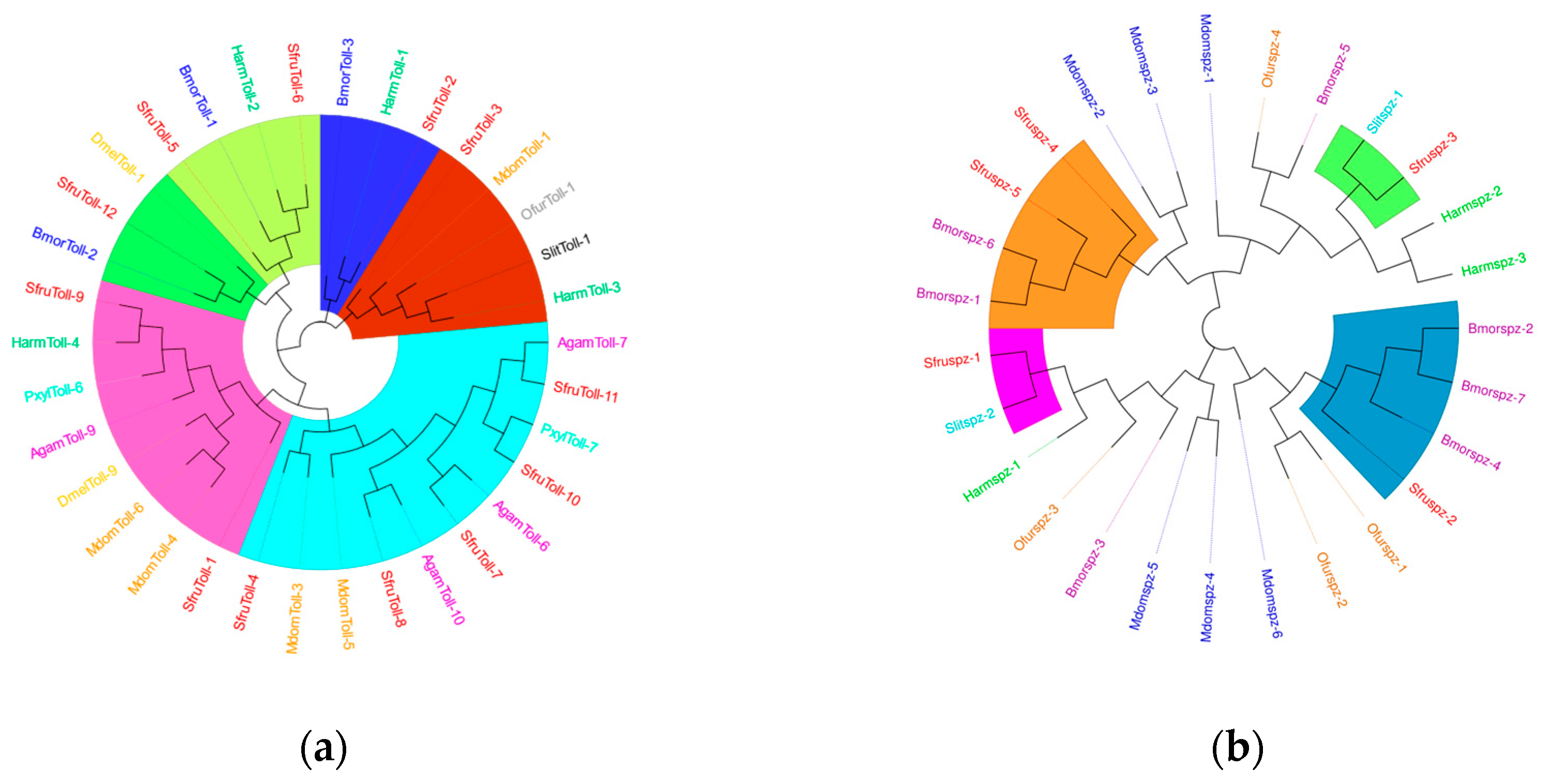Insects 16 00360 g012