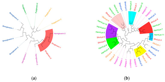 Immunotranscriptomic Profiling of Spodoptera frugiperda Challenged
