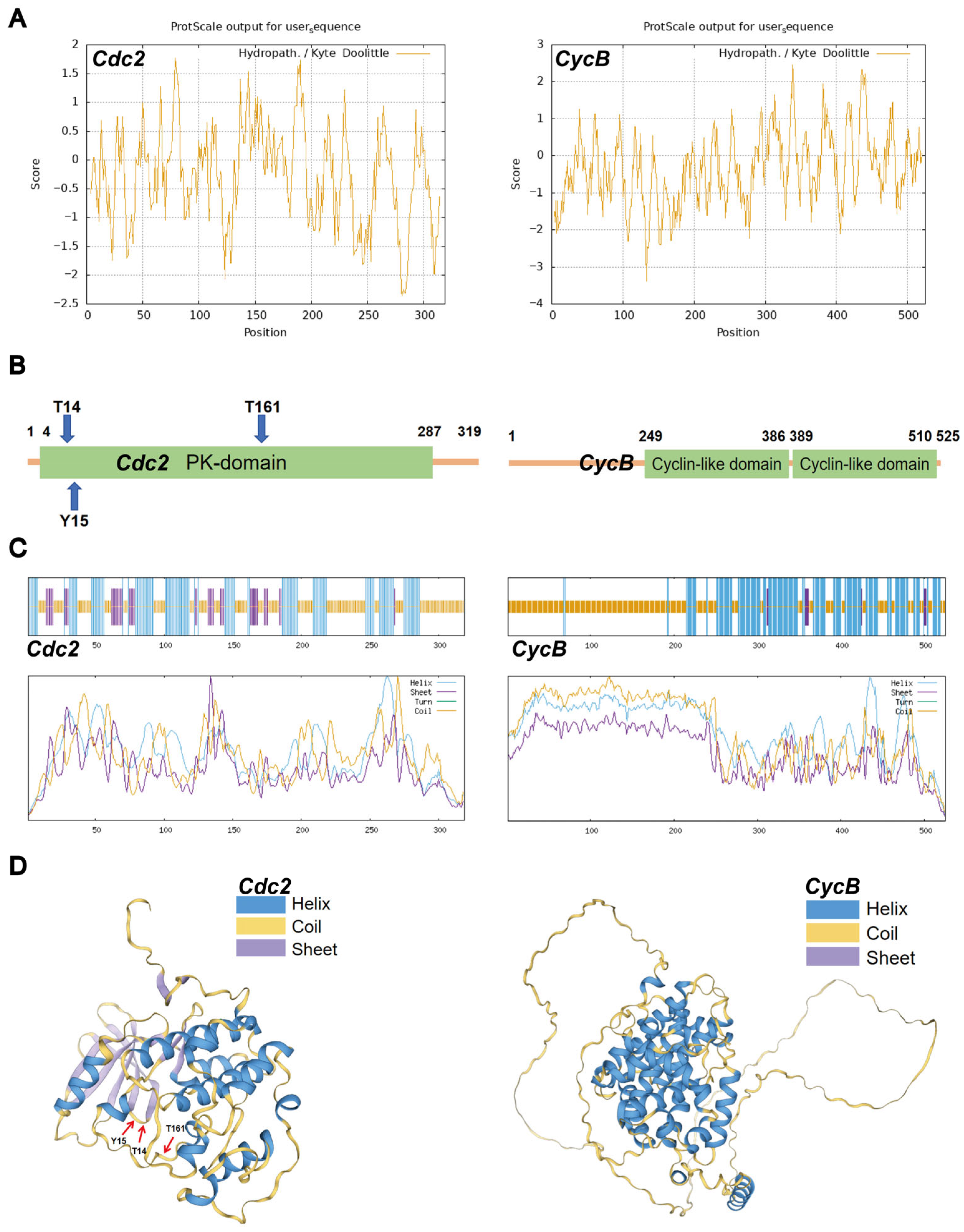 Insects 16 00361 g001