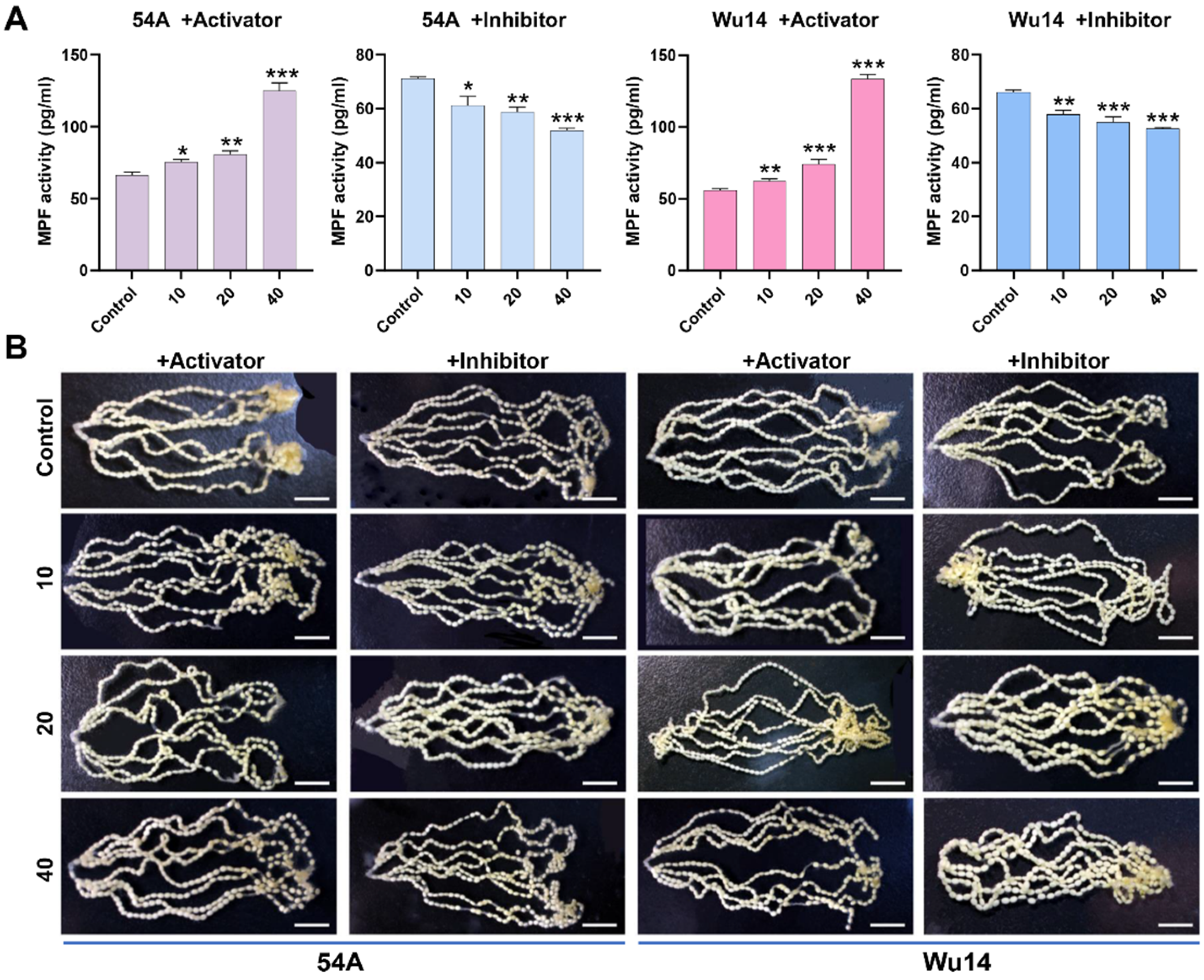 Insects 16 00361 g004