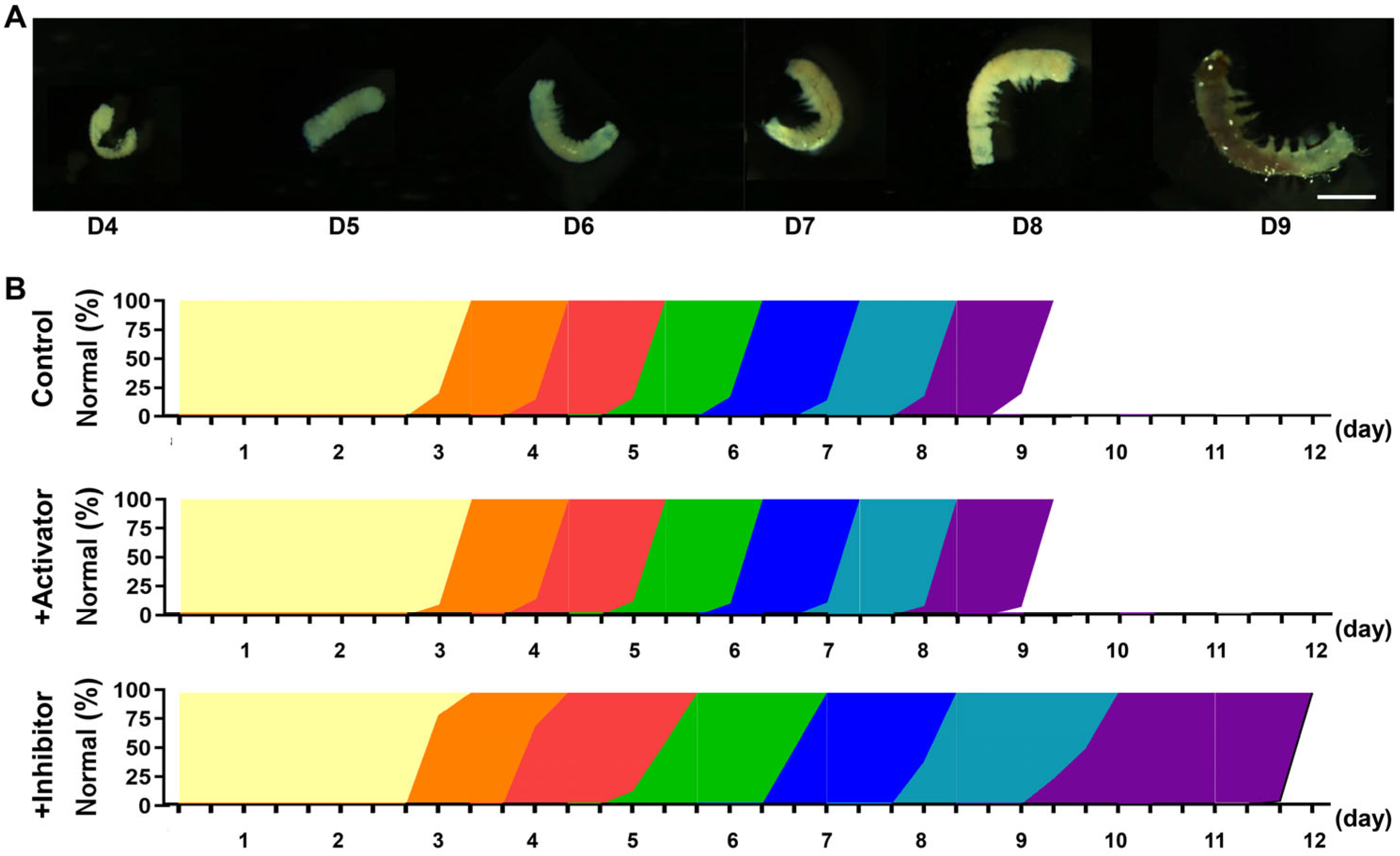 Insects 16 00361 g006