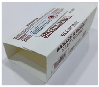 Insects 16 00362 i004