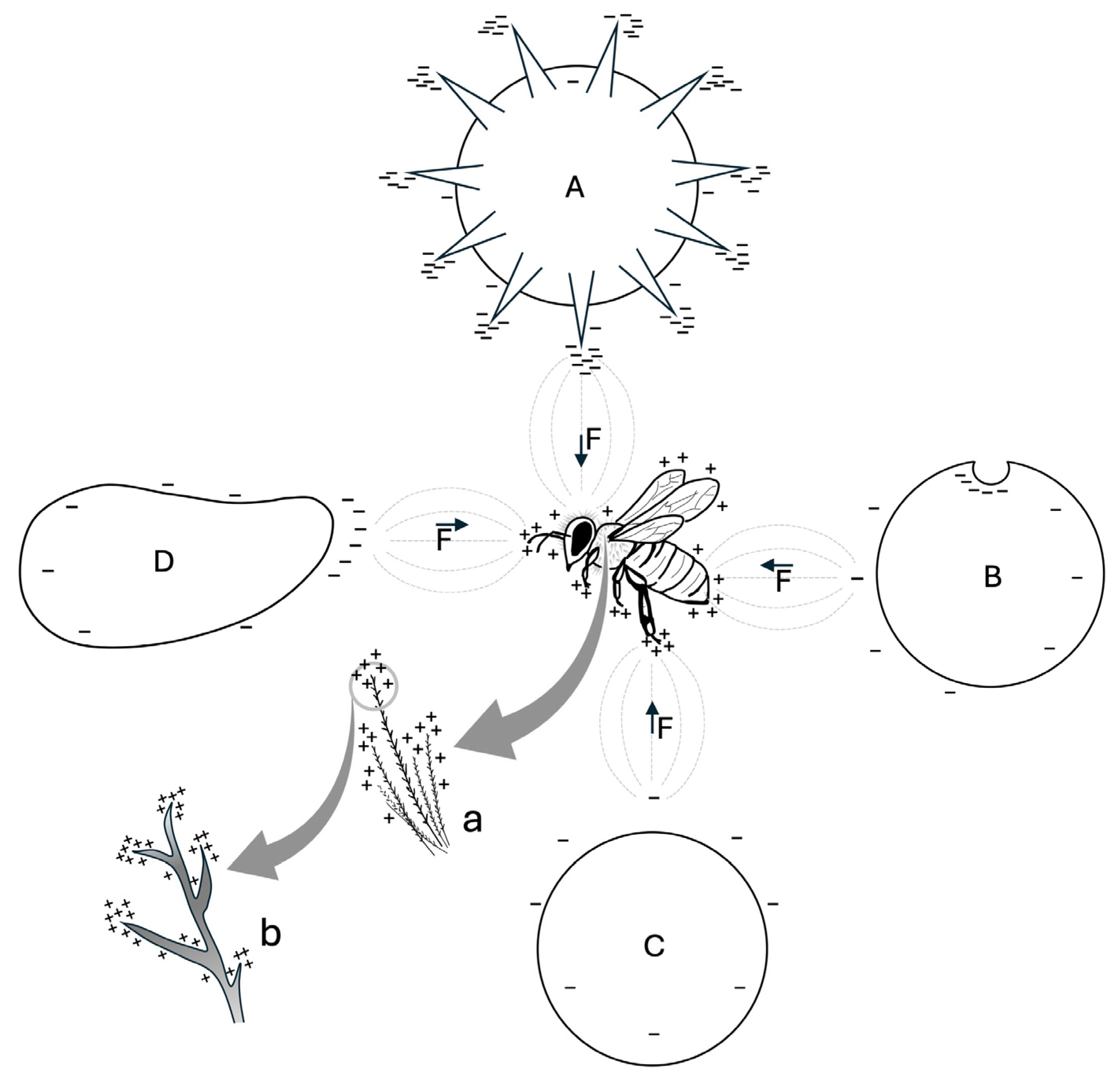Insects 16 00373 g002