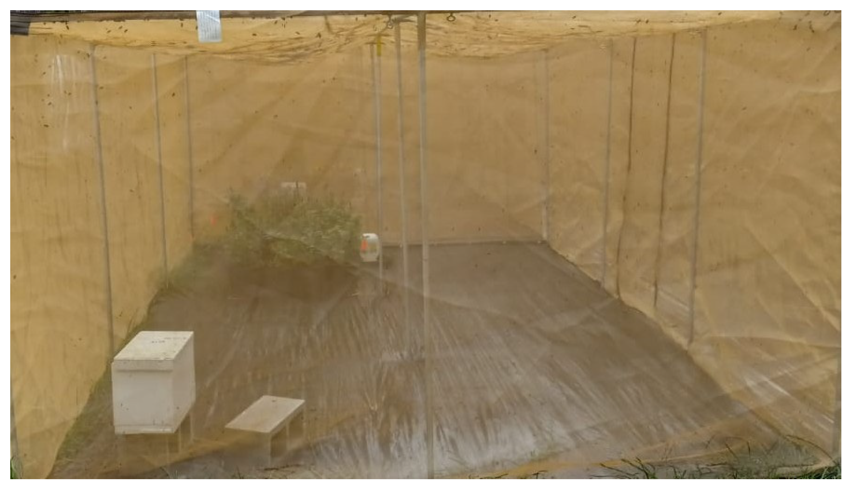 Insects 16 00374 g001