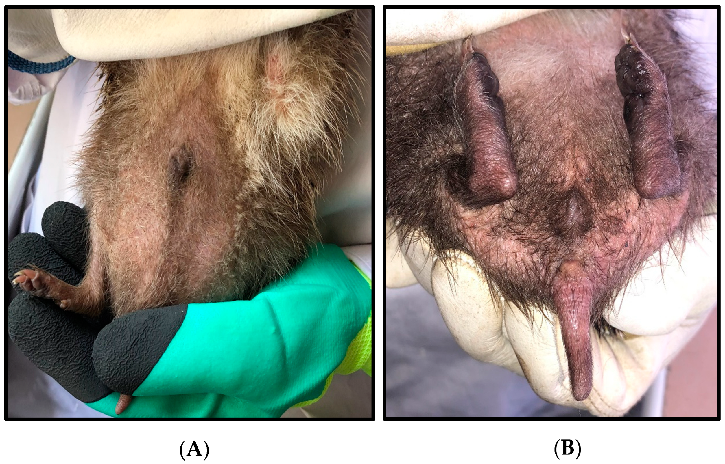 Insects 16 00390 g002