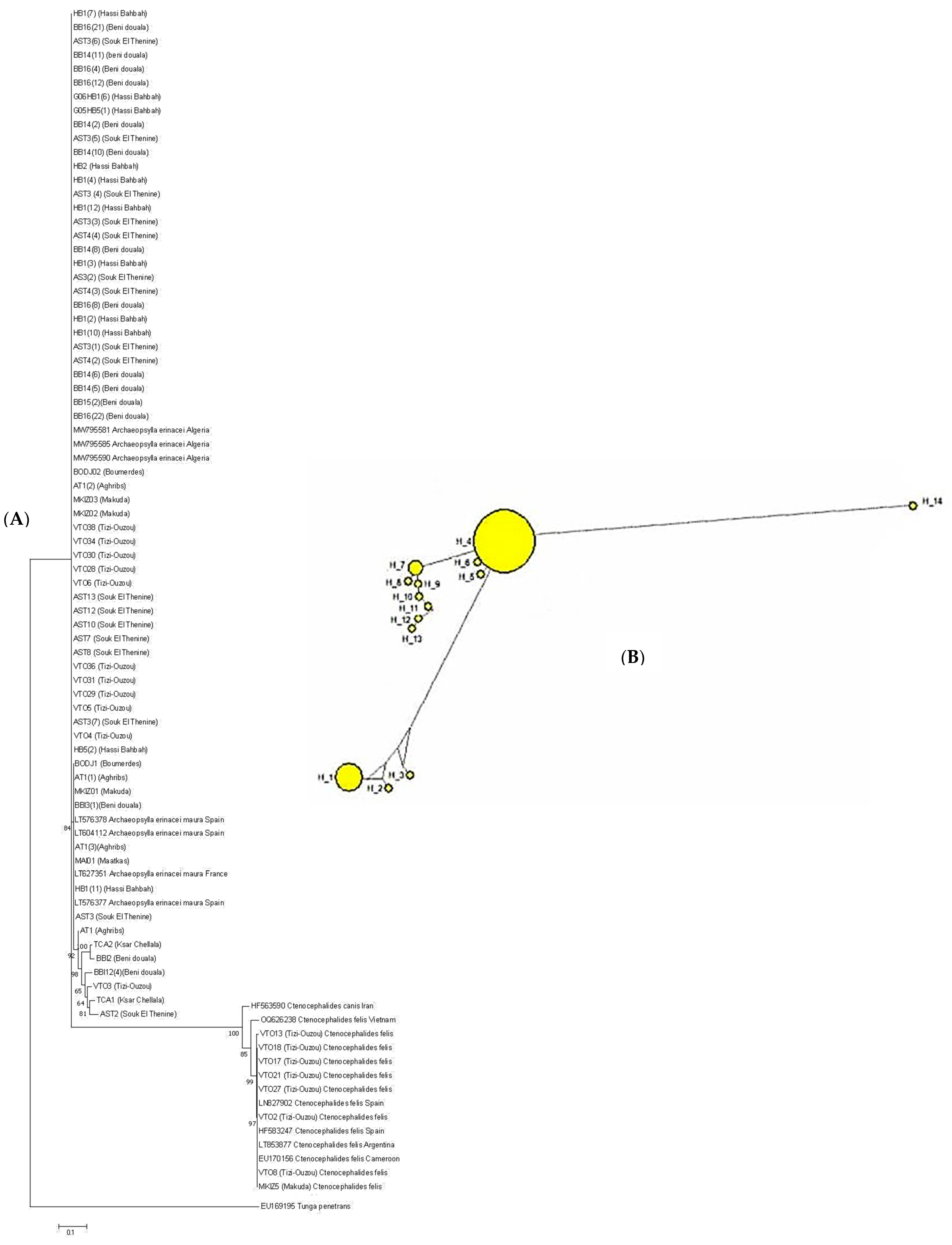 Insects 16 00390 g004