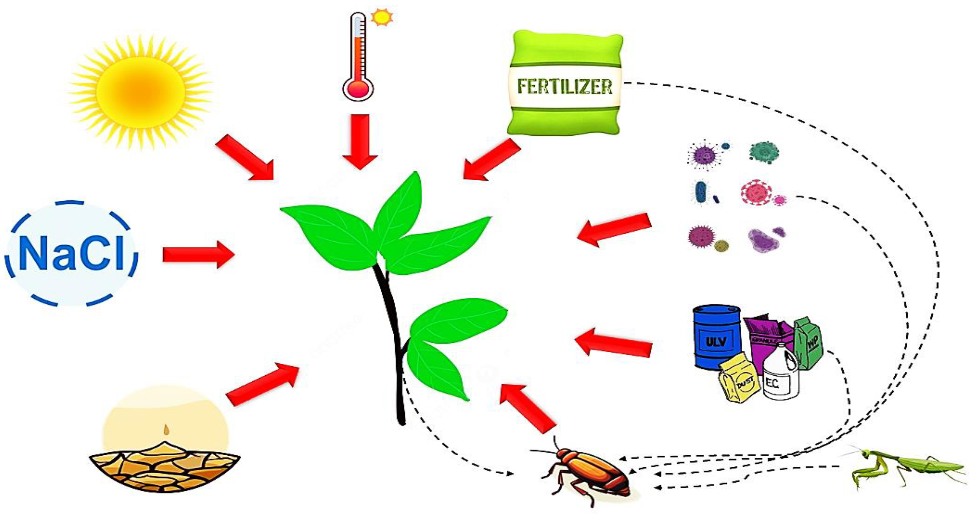 Insects 16 00392 g001