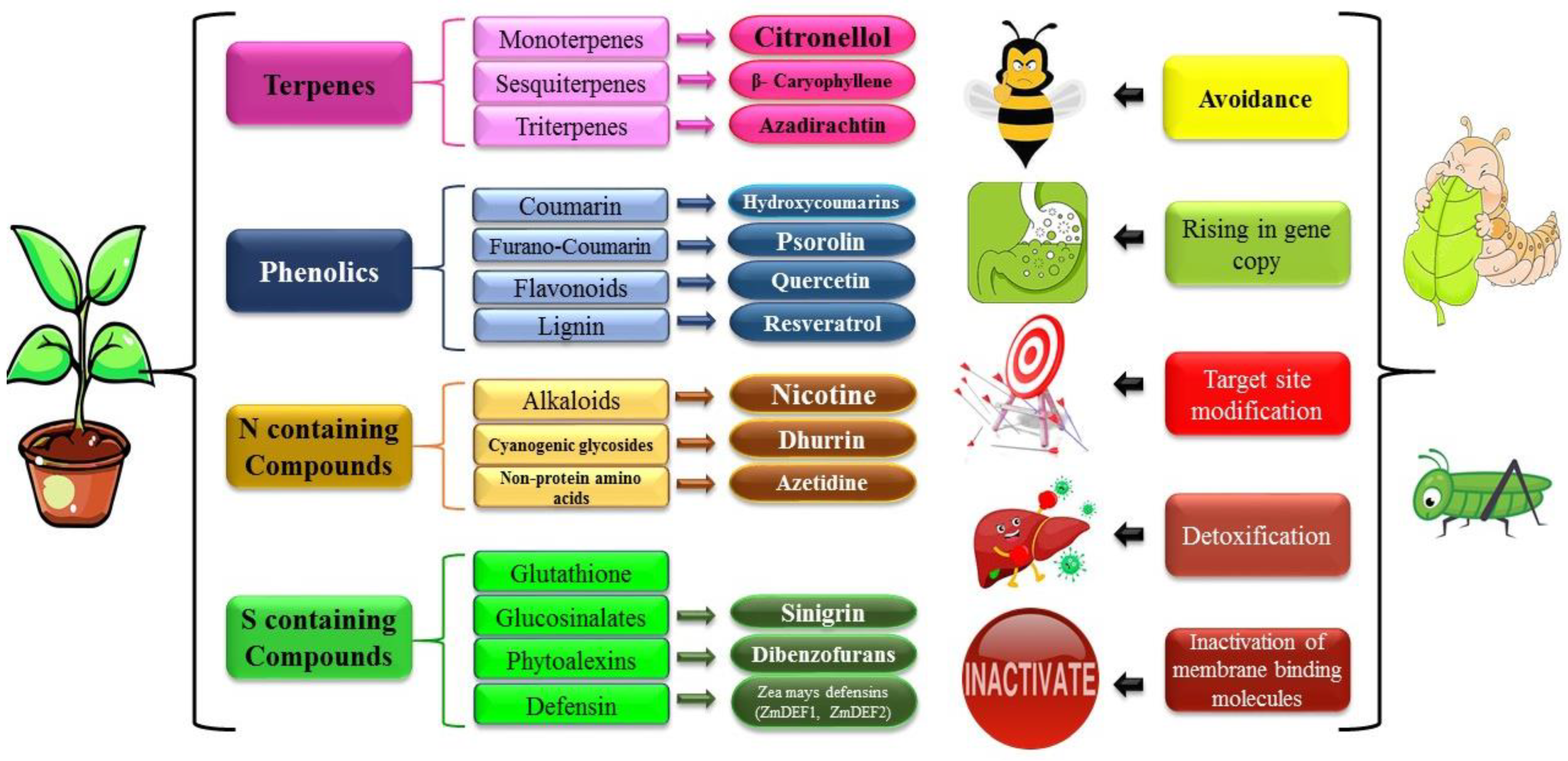 Insects 16 00392 g002