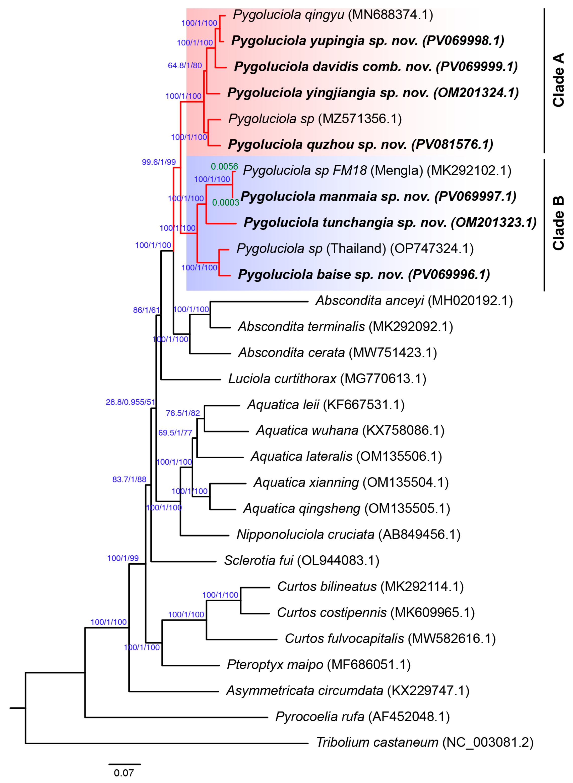 Insects 16 00394 g001