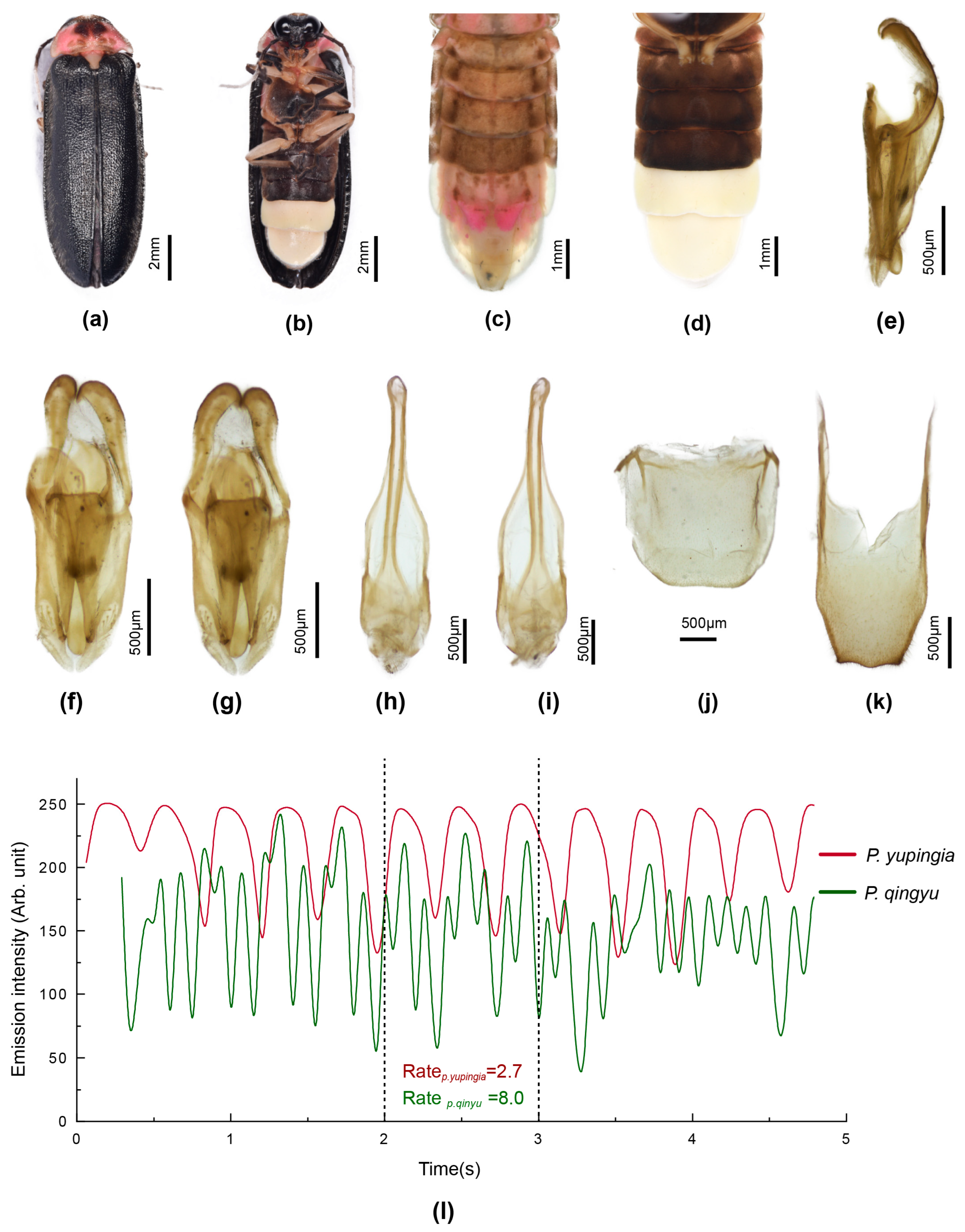 Insects 16 00394 g007