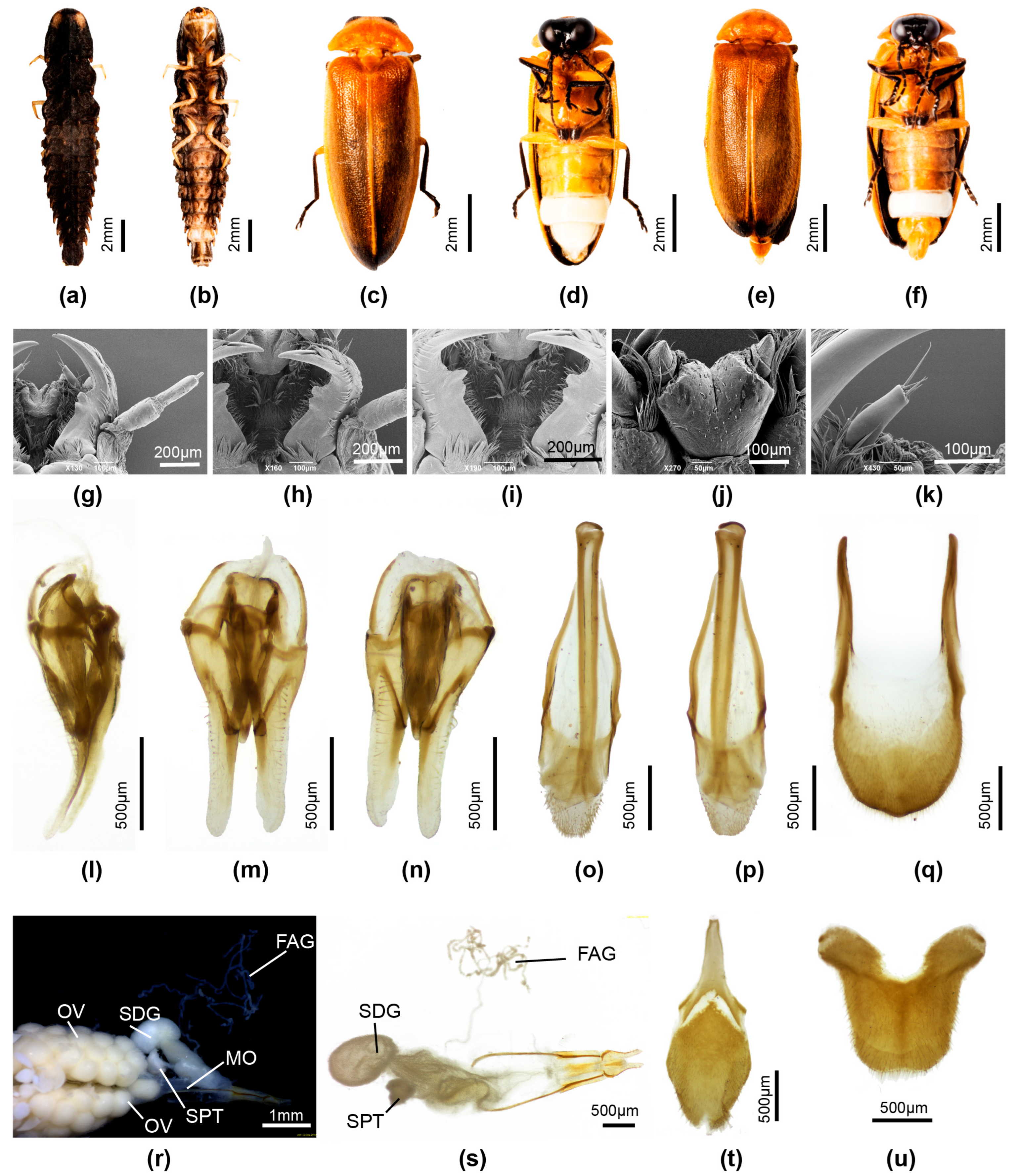 Insects 16 00394 g009