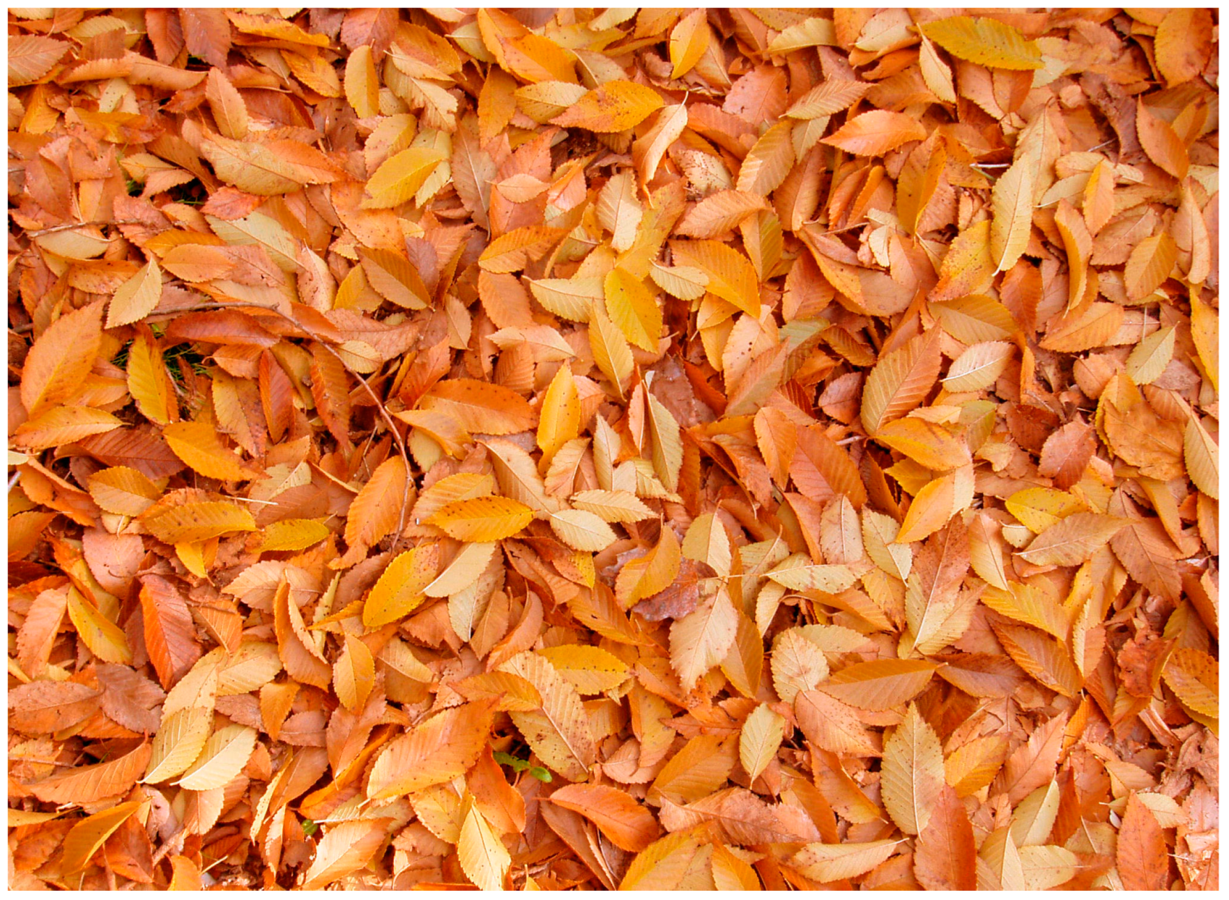 Insects 16 00401 g003