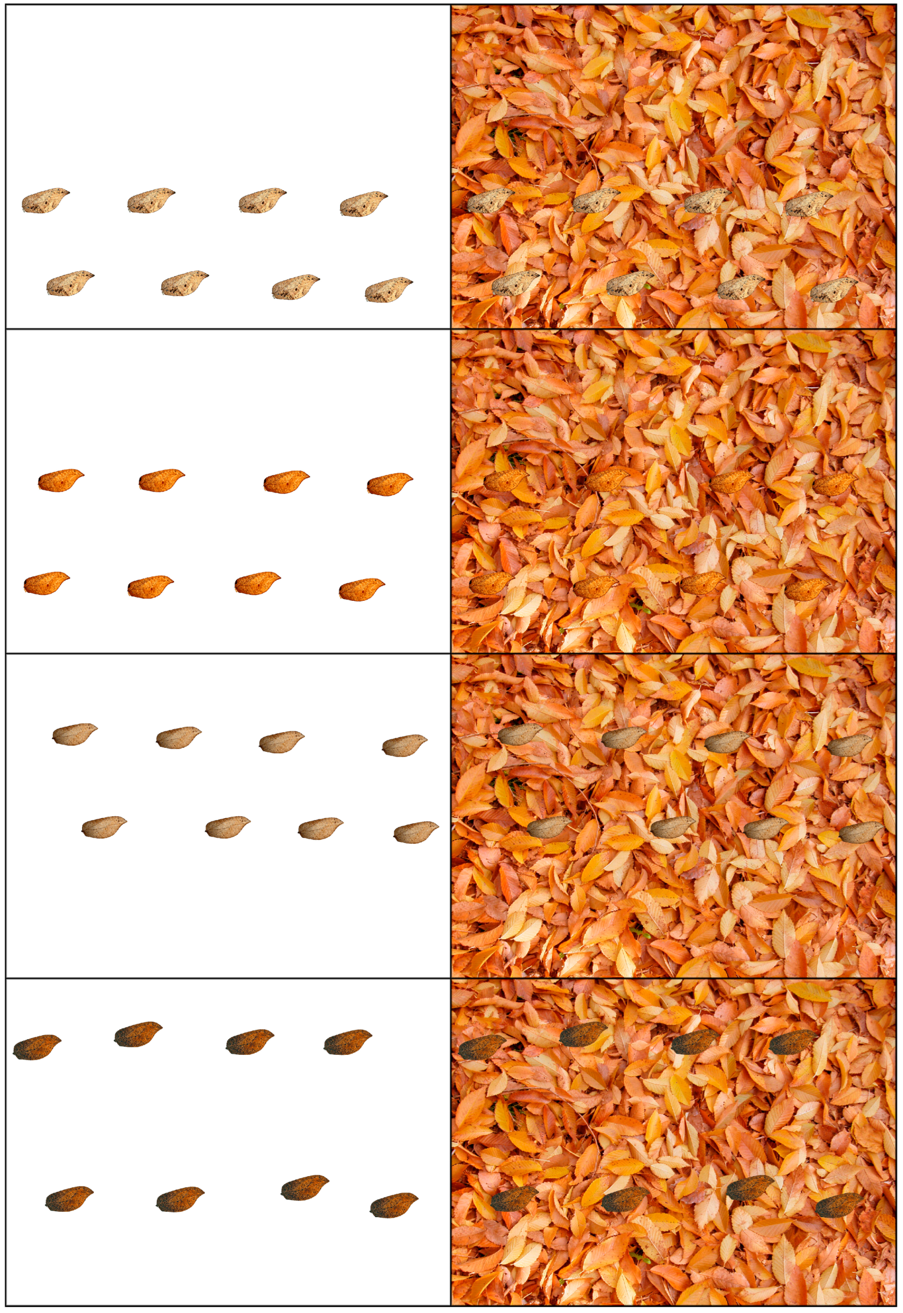 Insects 16 00401 g005