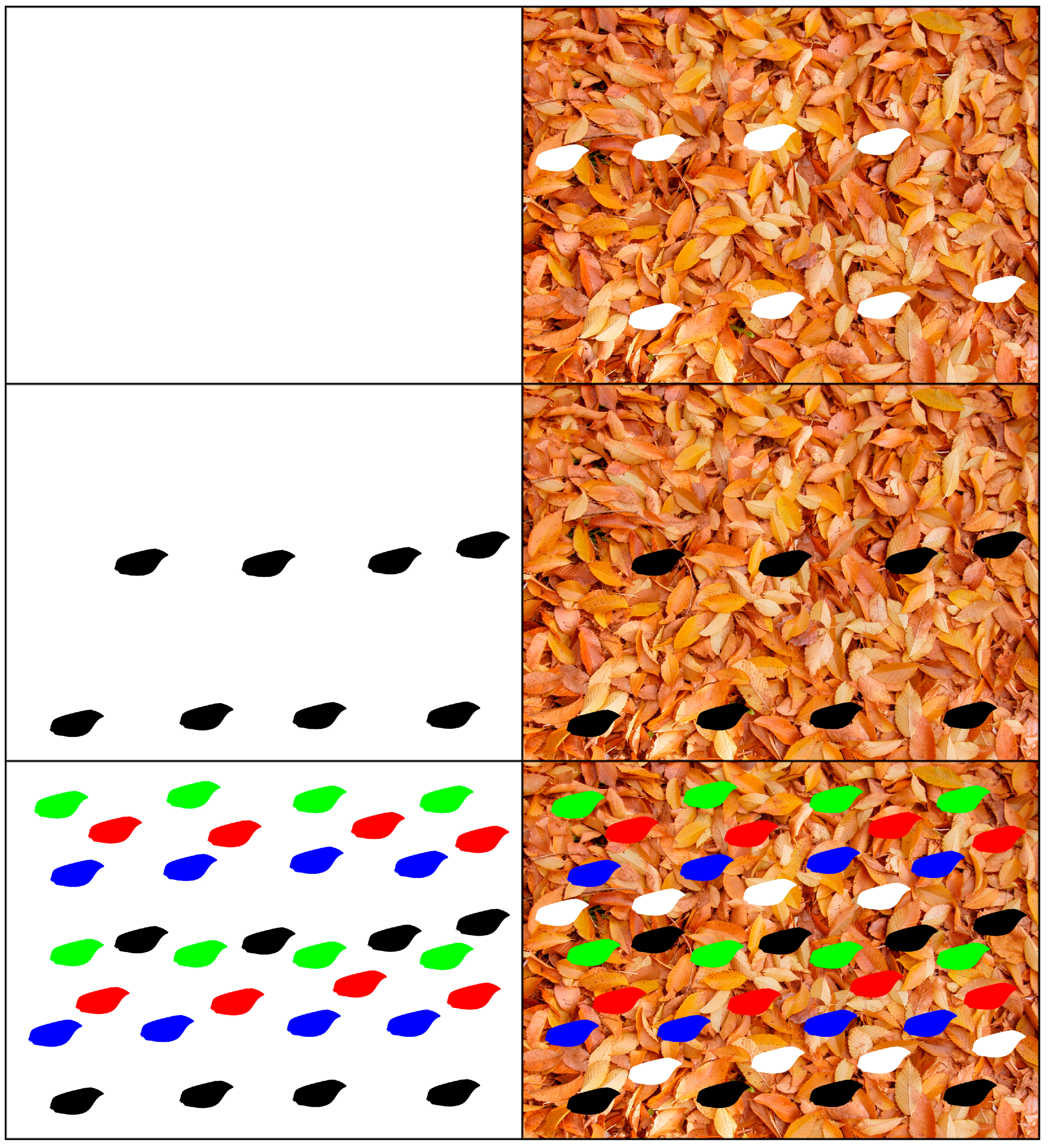 Insects 16 00401 g009