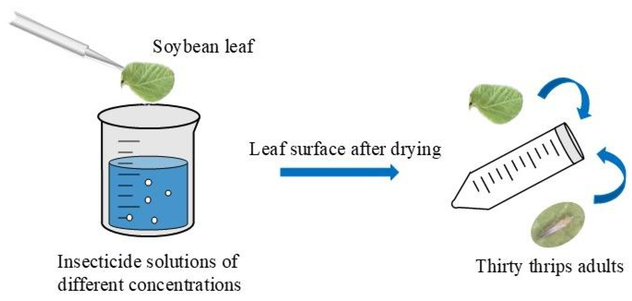Insects 16 00405 g001