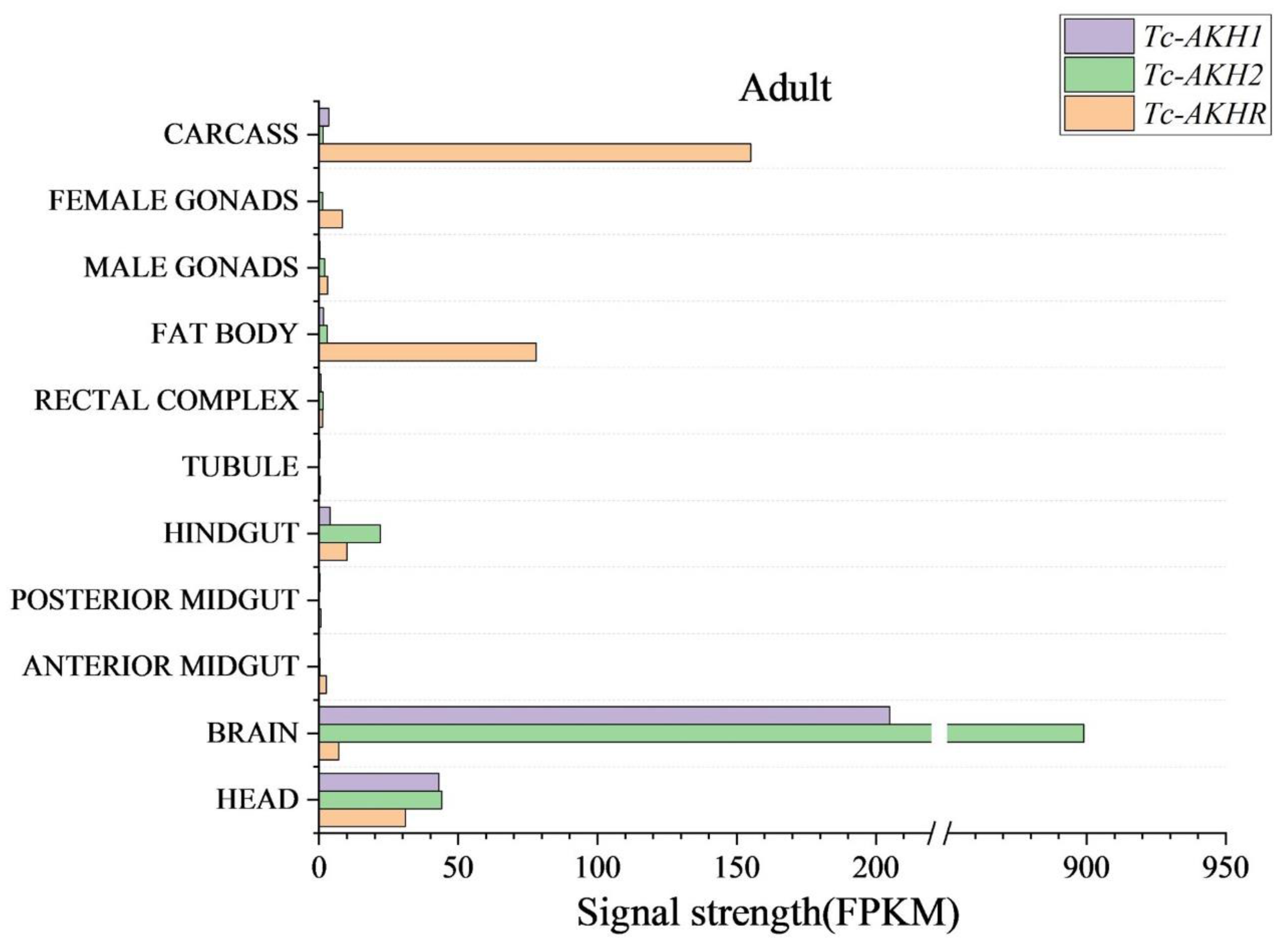 Insects 16 00407 g004