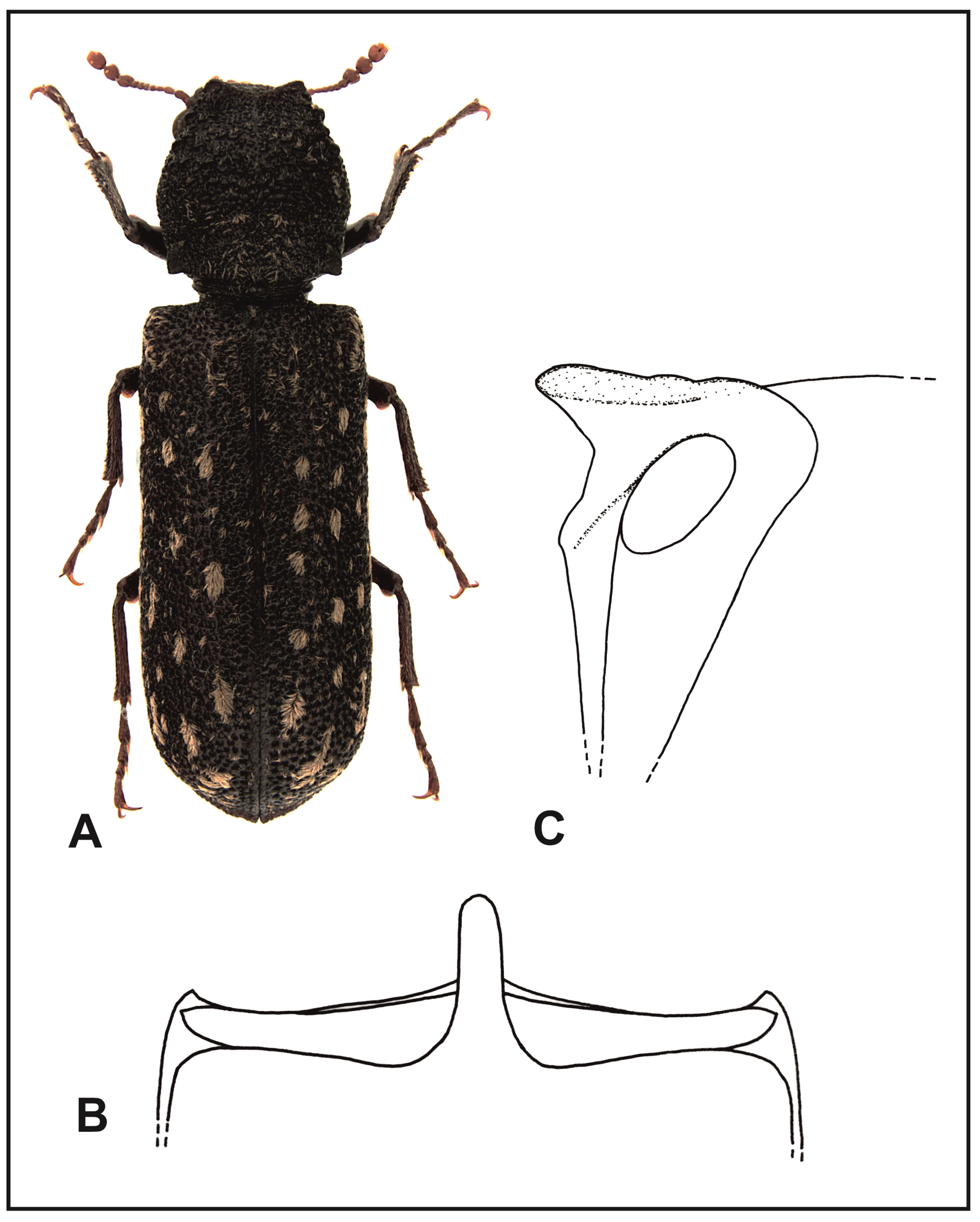 Insects 16 00411 g005 Insects 16 00411 g005