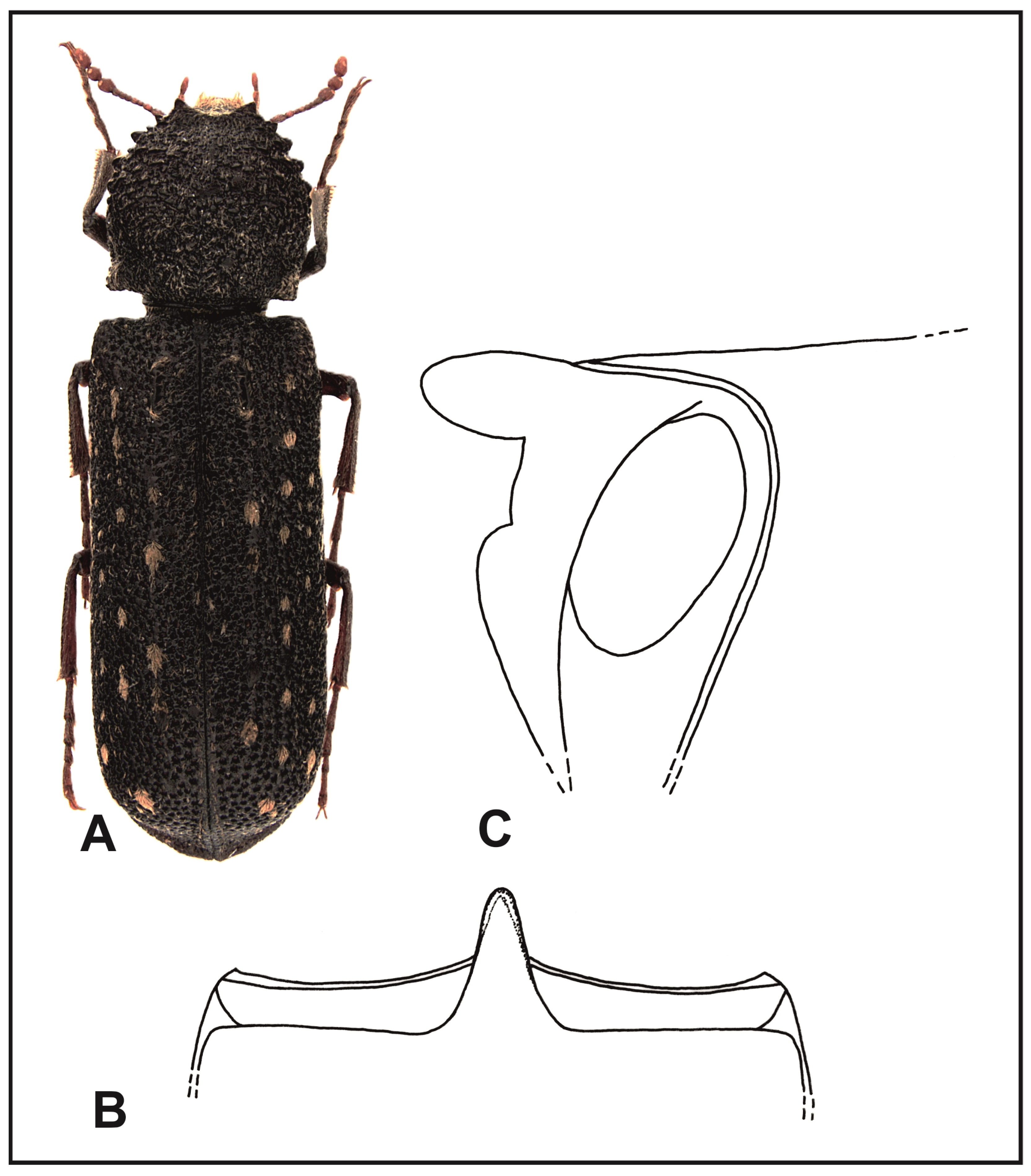 Insects 16 00411 g006 Insects 16 00411 g006