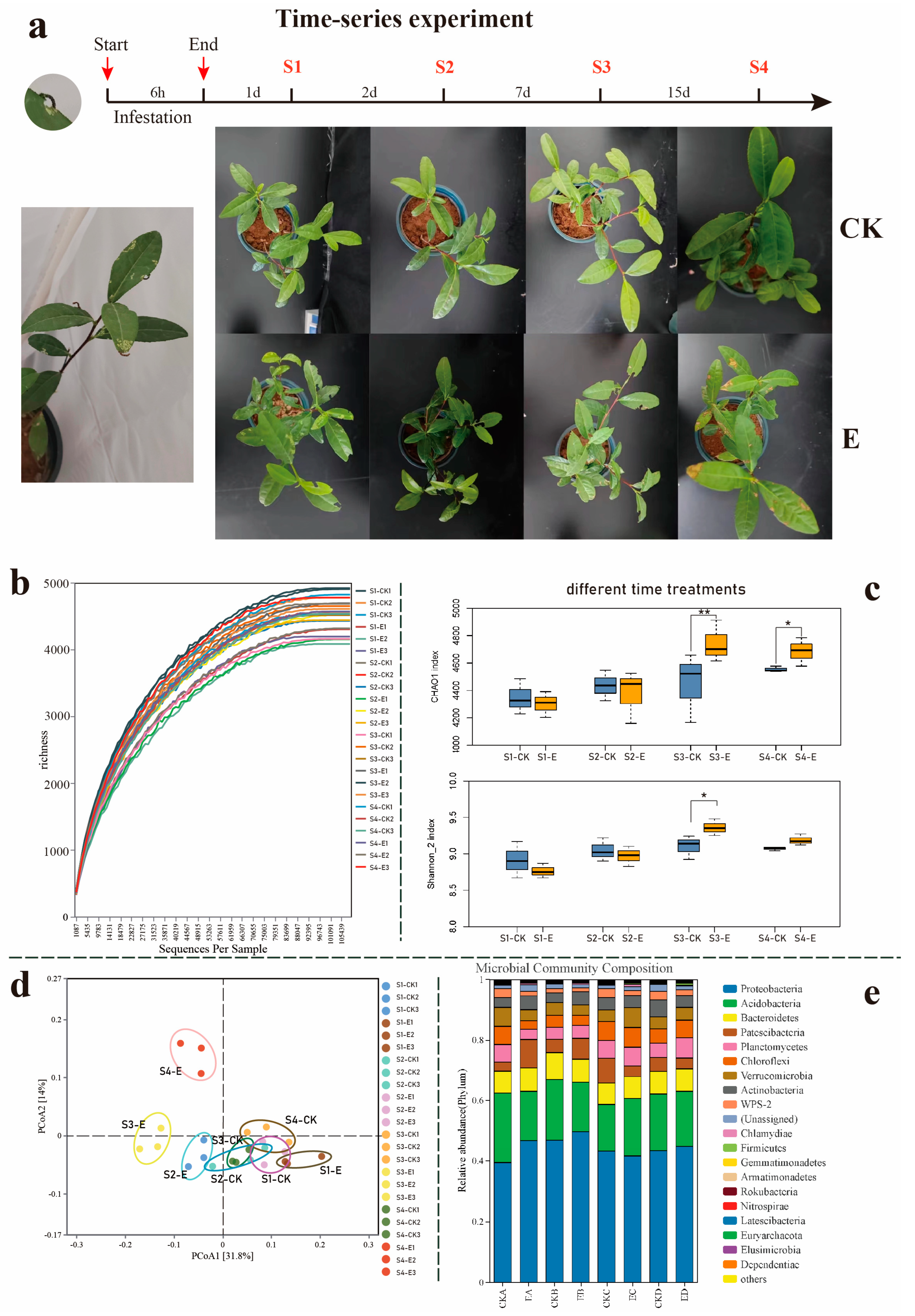 Insects 16 00412 g001