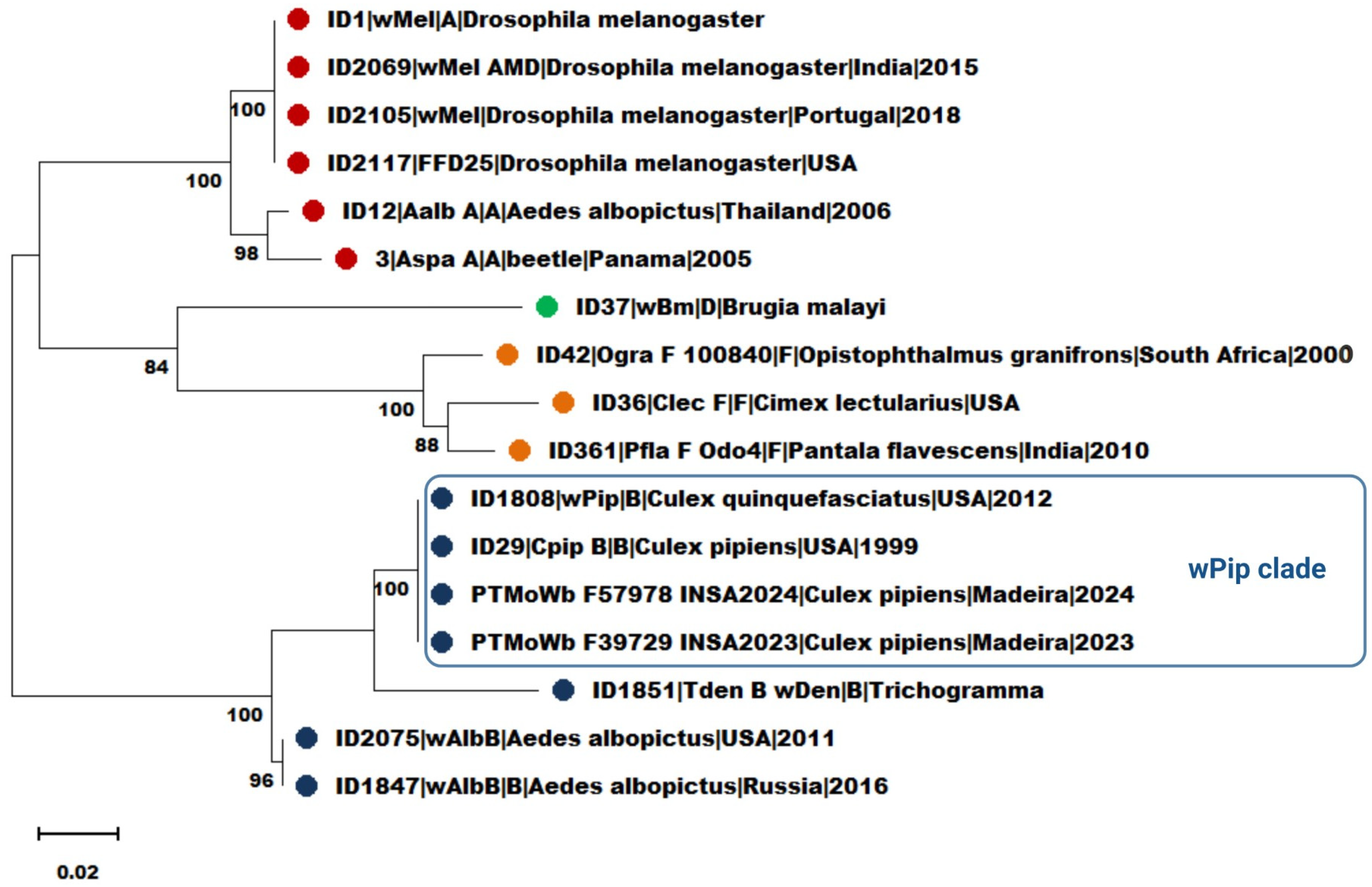 Insects 16 00418 g002